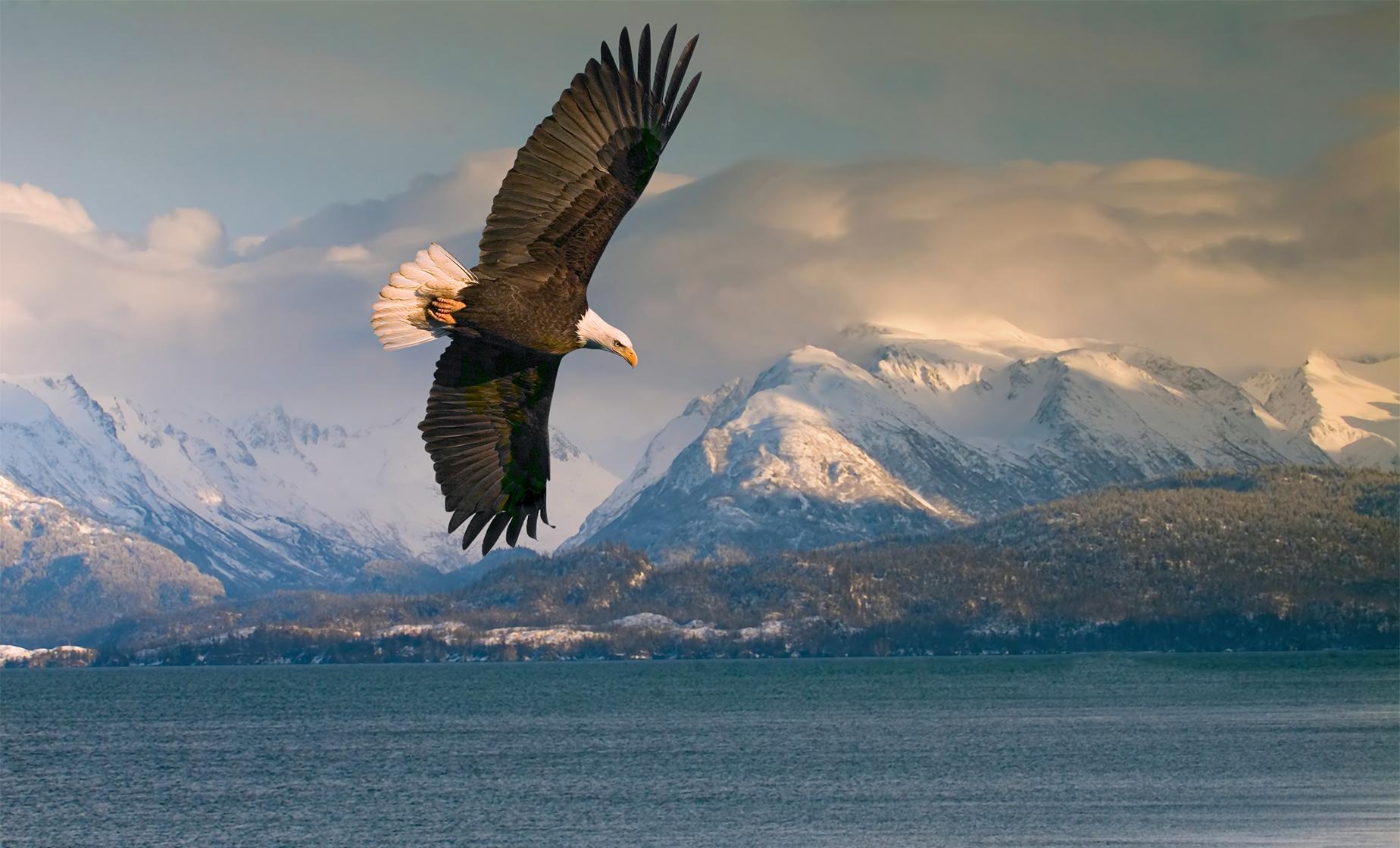 Chilkat Bald Eagle Reserve Rafting