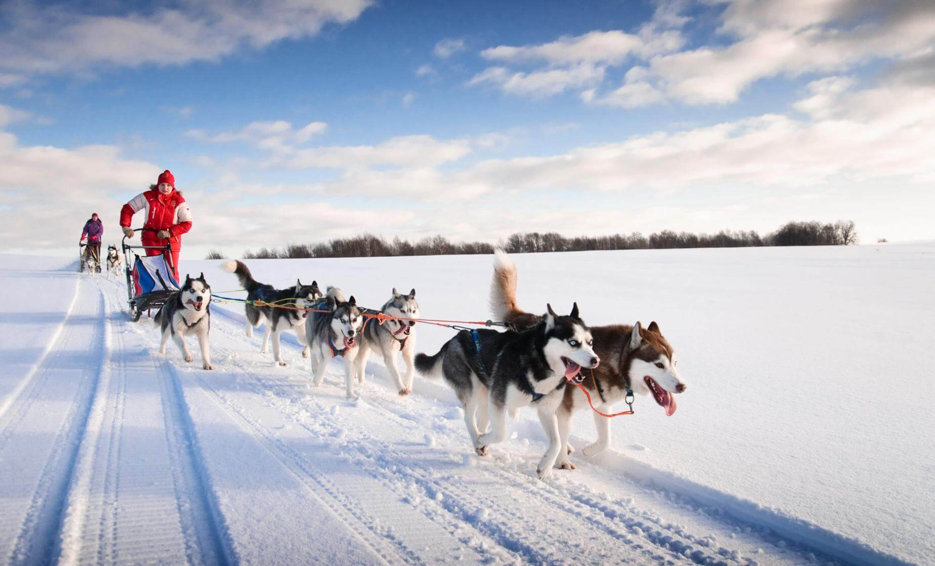 Juneau Dog Sled Tour with Helicopter Flight in Alaska