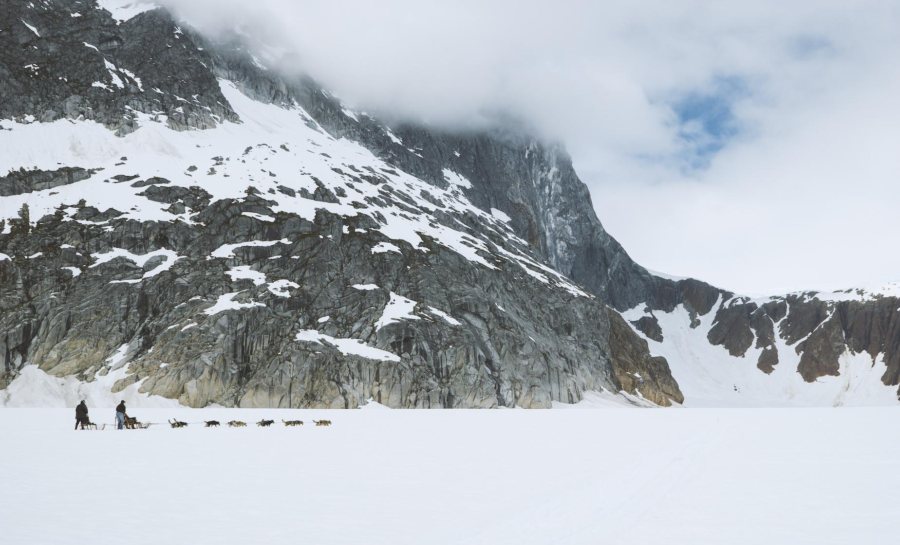 Juneau Icefield Helicopter Flight and Dog Sled Excursion in Alaska