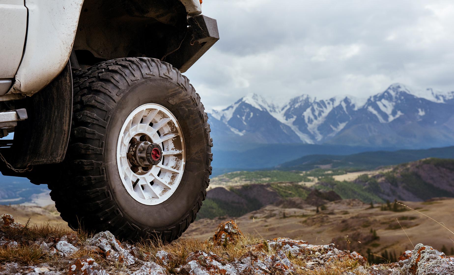 Tongass National Forest Jeep Drive and Canoe Safari Day Tour in Ketchikan