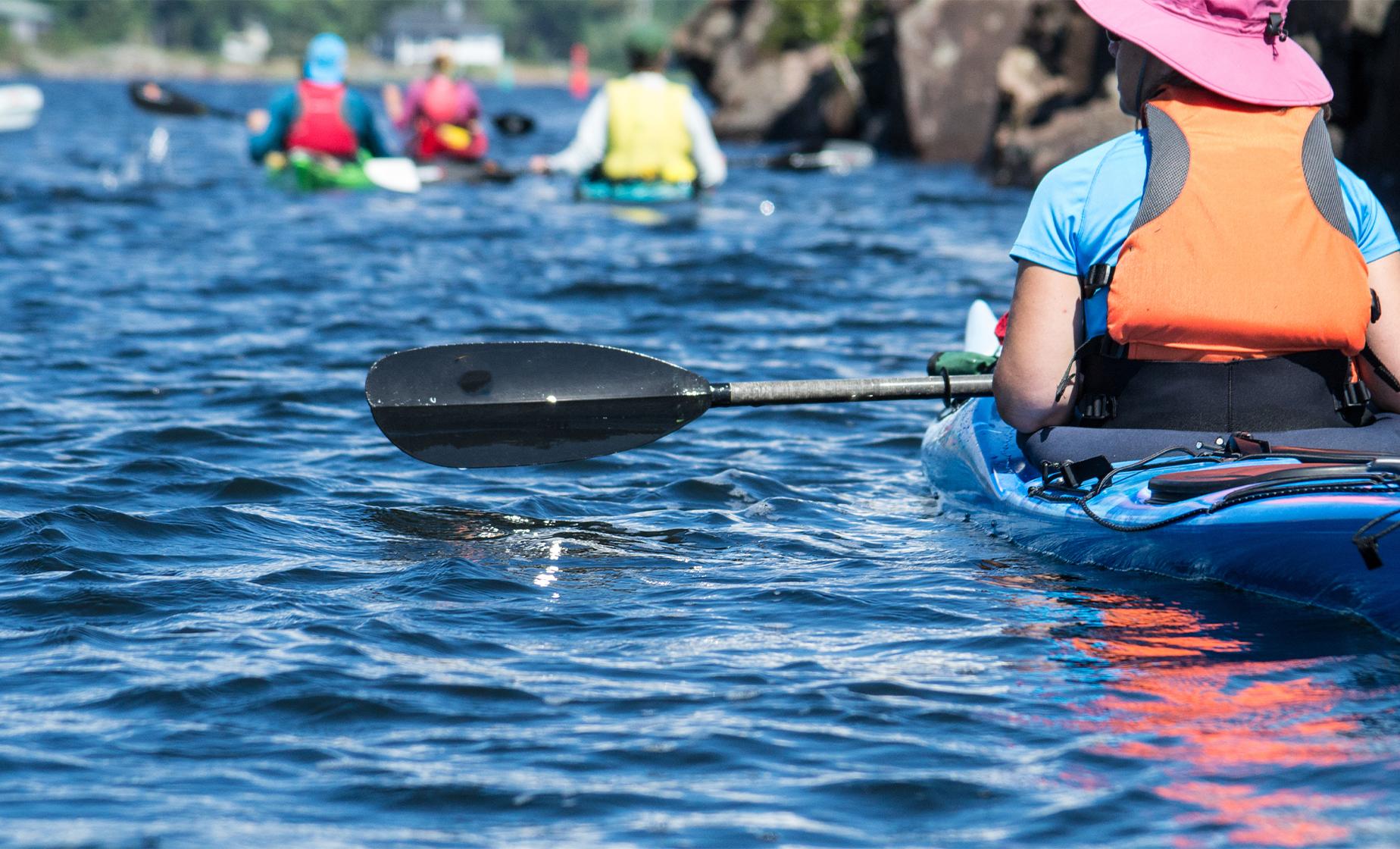kayak cruises search