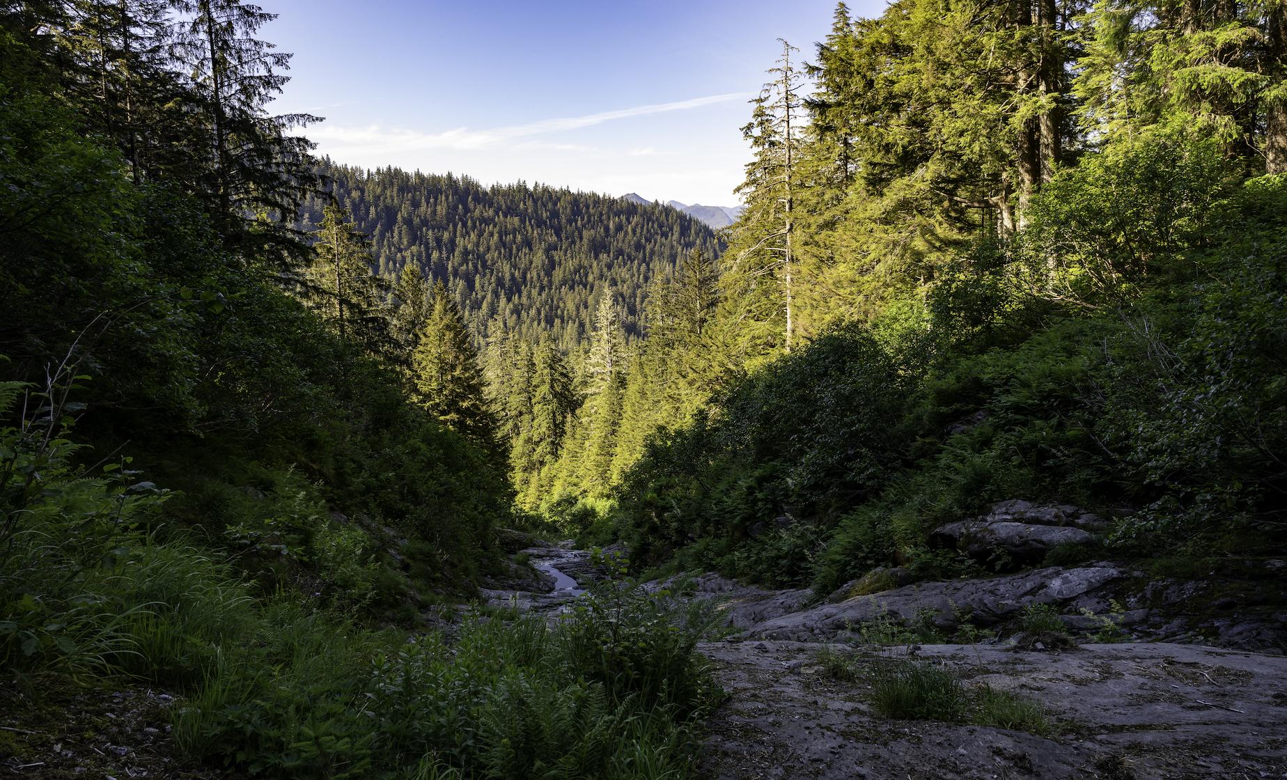 Tongass National Forest Scenic Lake Hike