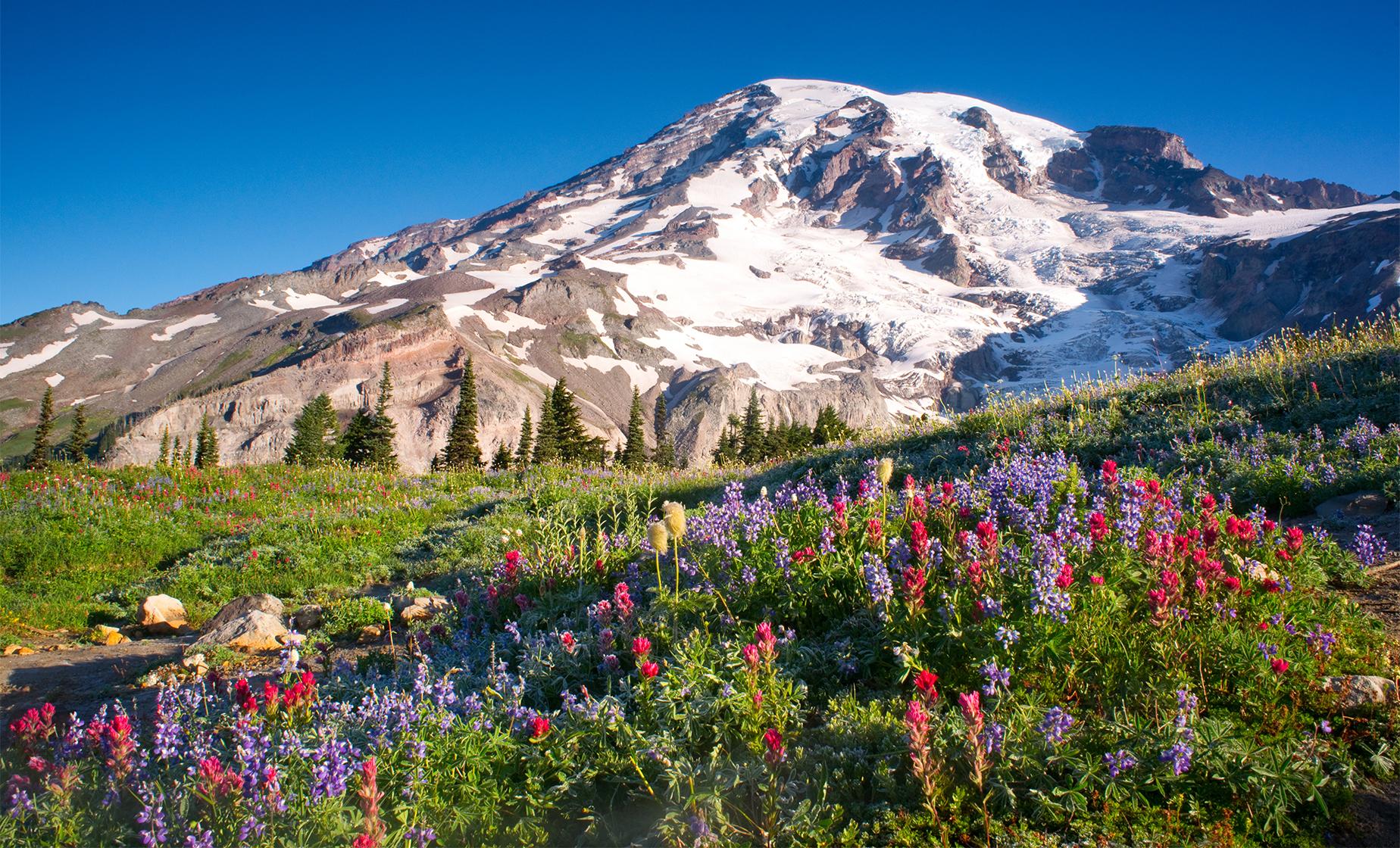 Mount Rainier National Park Tour in Seattle (Narada Falls, Glacial Moraines)