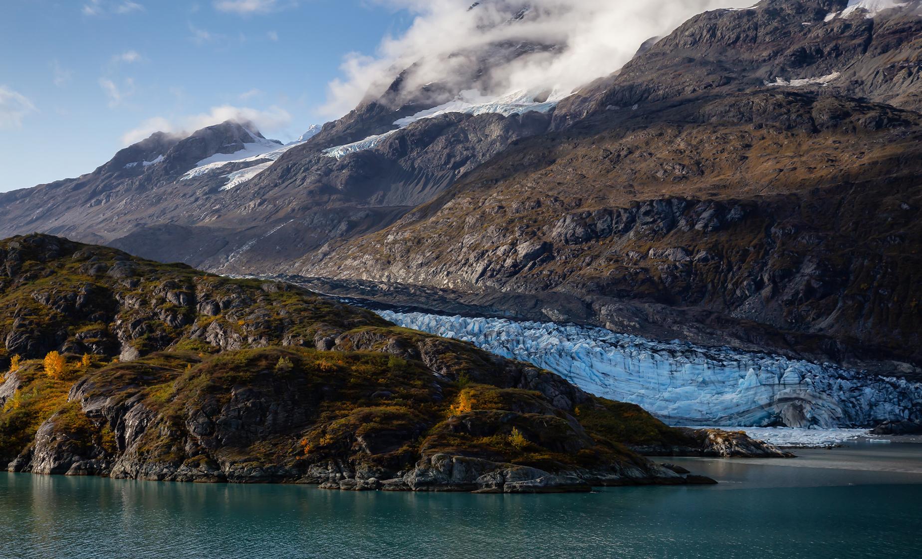 Kenai Fjords National Park Cruise