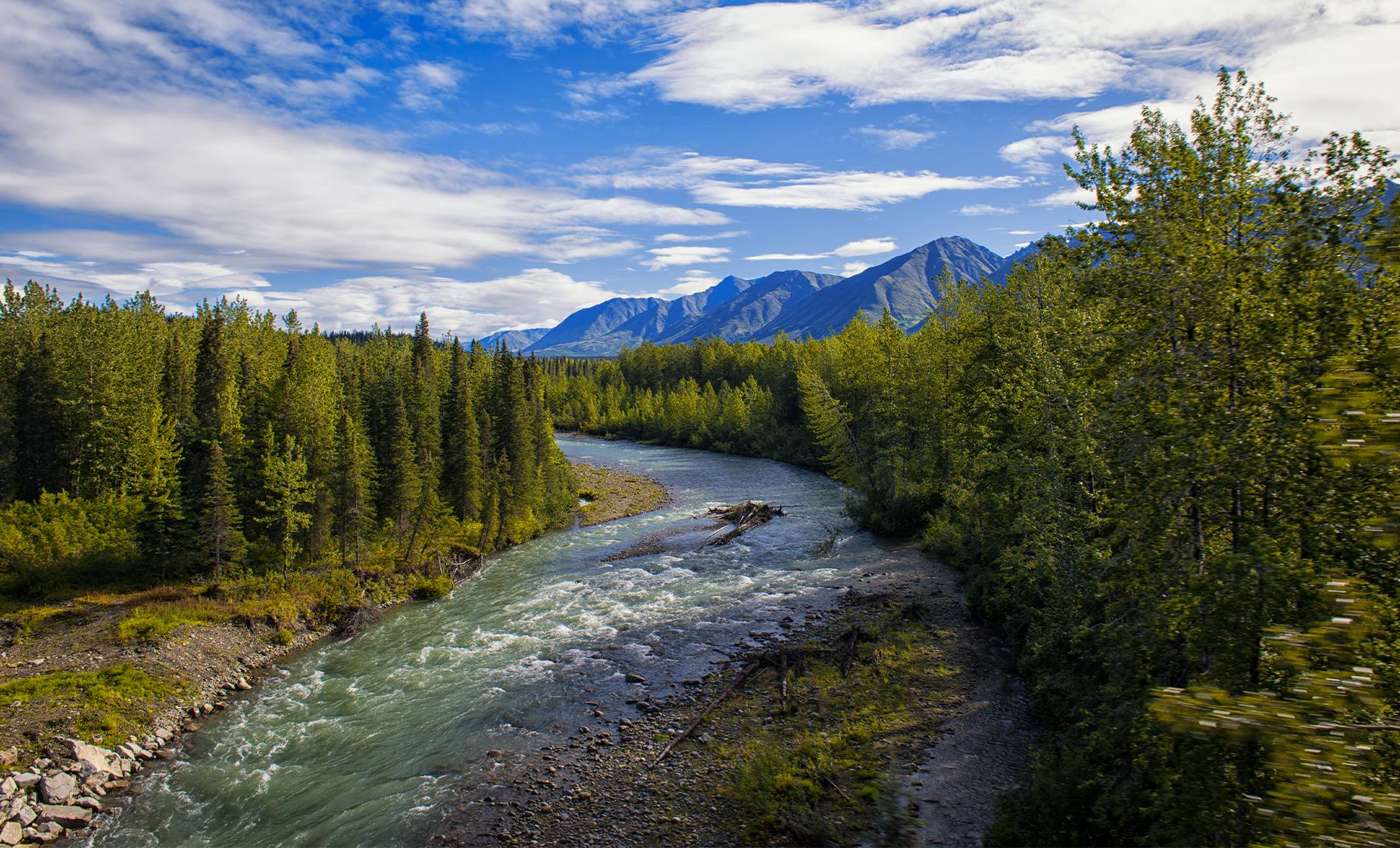 Talkeetna Cruise Excursions | Chulitna Gorge River Tour