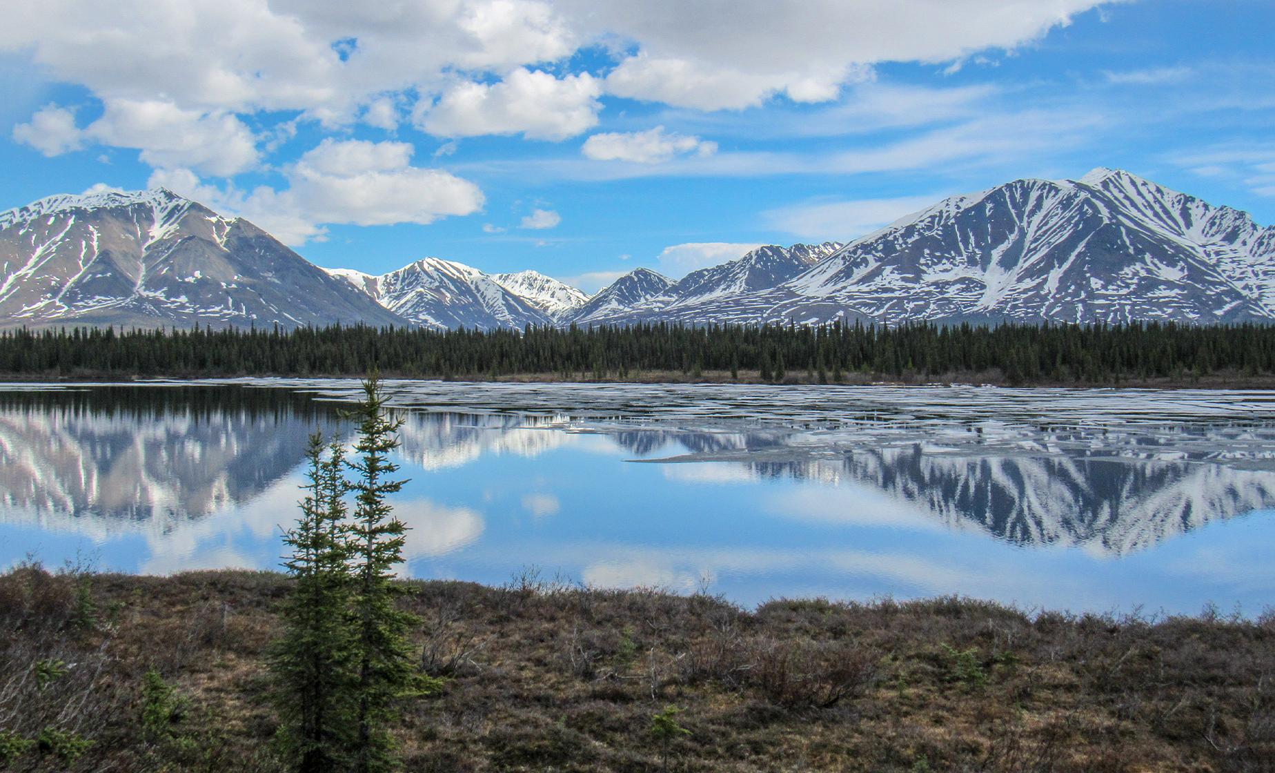 Talkeetna Cruise Shore Excursions | Wilderness Jet Boat Adventure