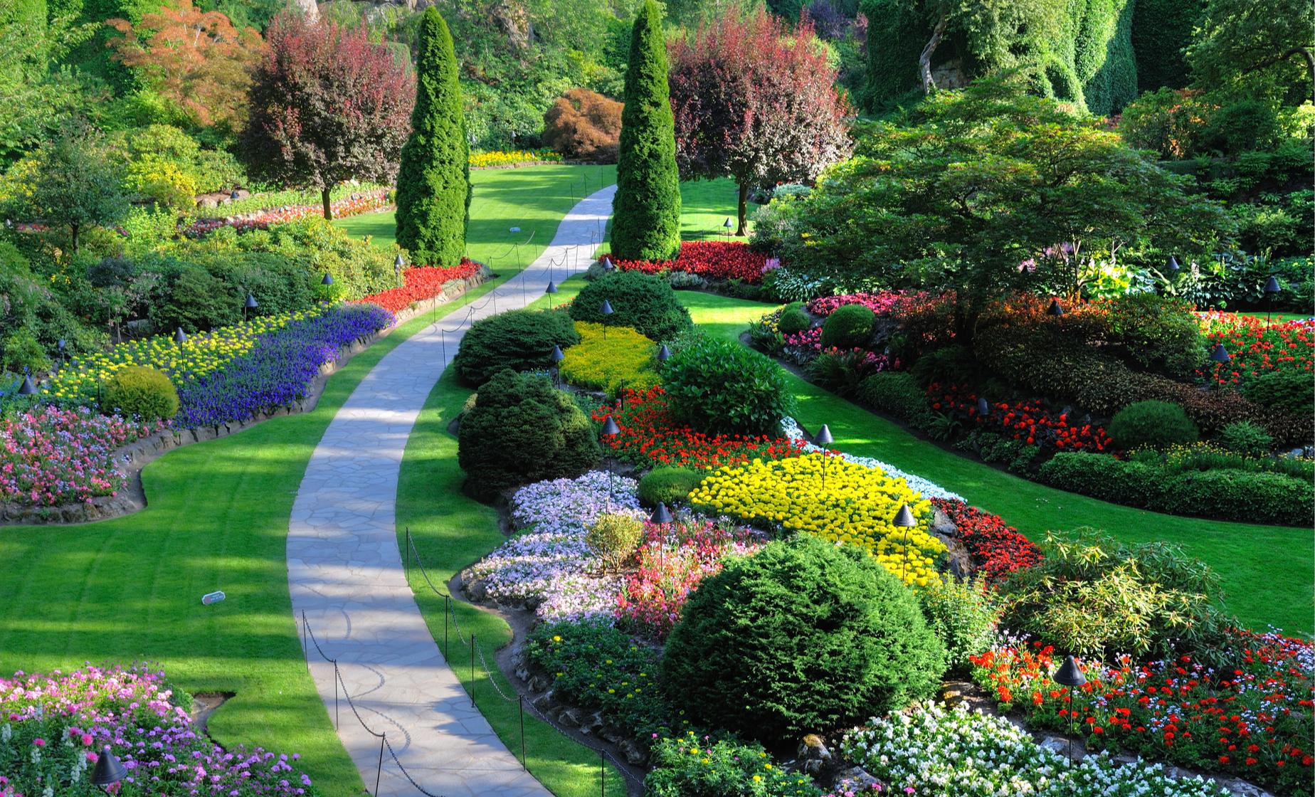 A Tale of Two Gardens - Butterfly & Butchart Gardens