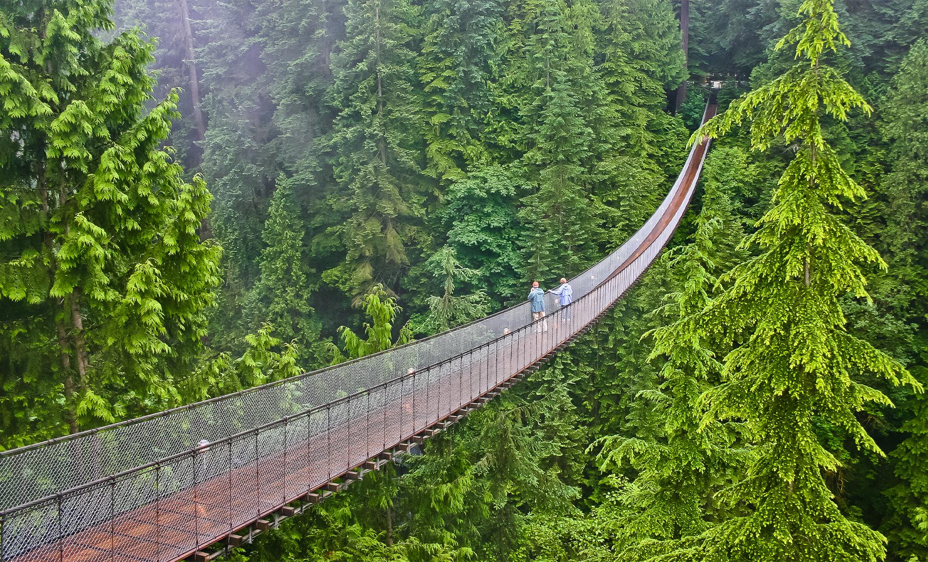 Best of Vancouver and Bridge