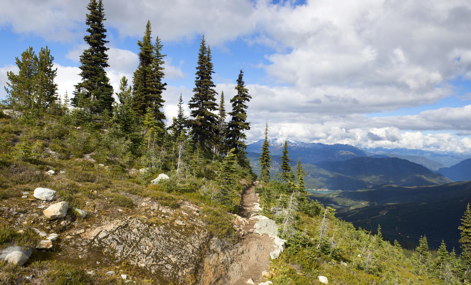 Whistler Mountains and Adventure Tour in Vancouver (Cheakamus River, Shannon Falls)