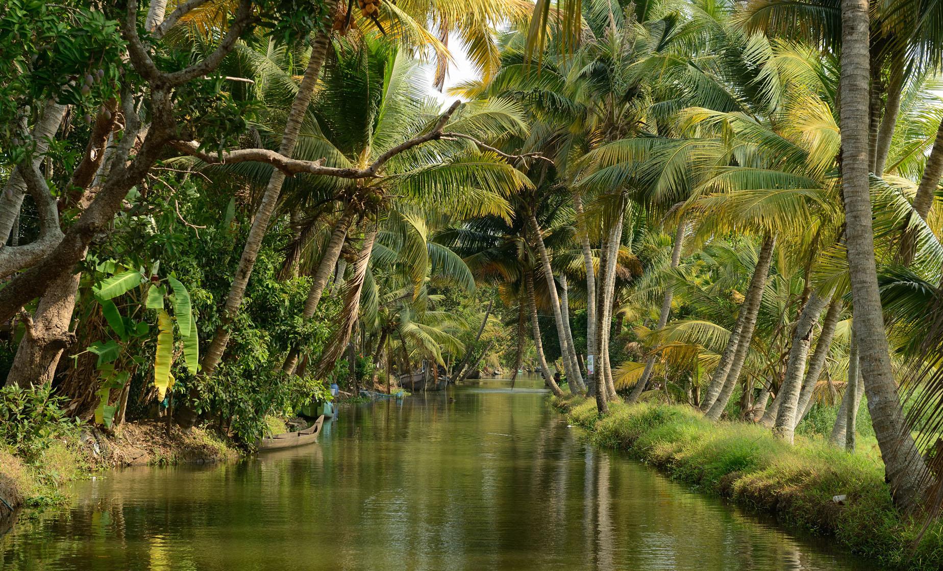 Backwater Trip in Alleppey