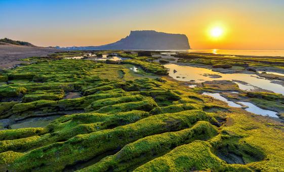 private Best of Jeju Island