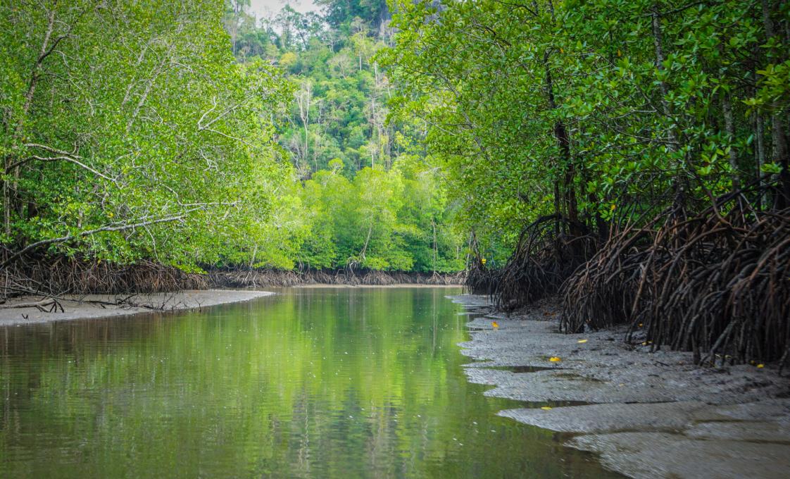 Kilim Kayak Adventure