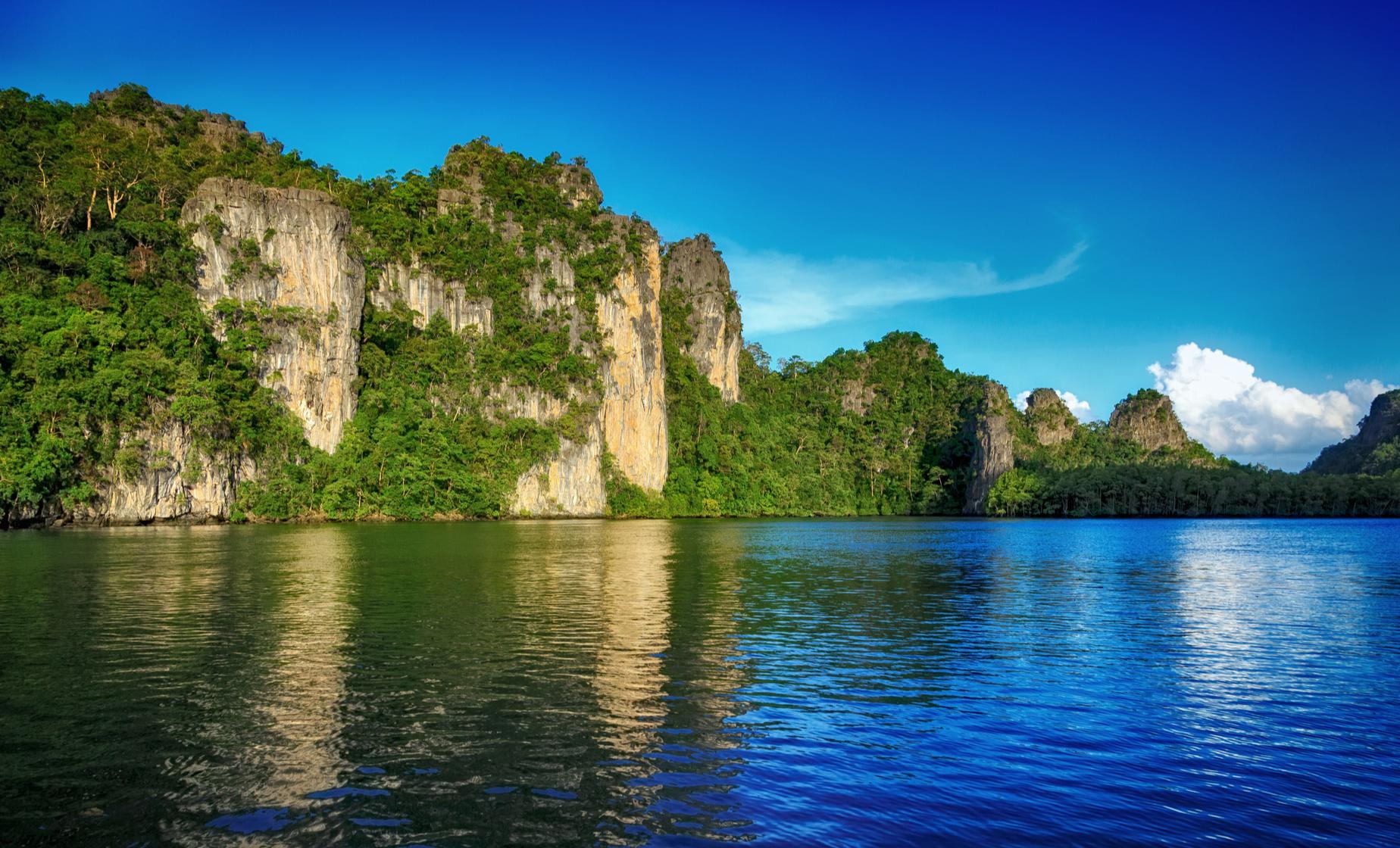 A Cruise in the Mangroves