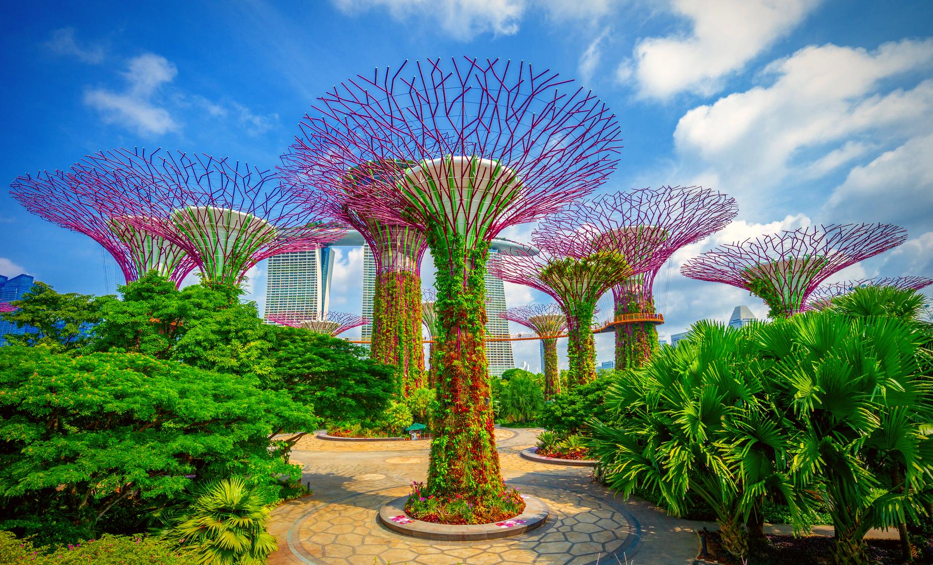 Exploring the Gardens by the Bay On Your Own