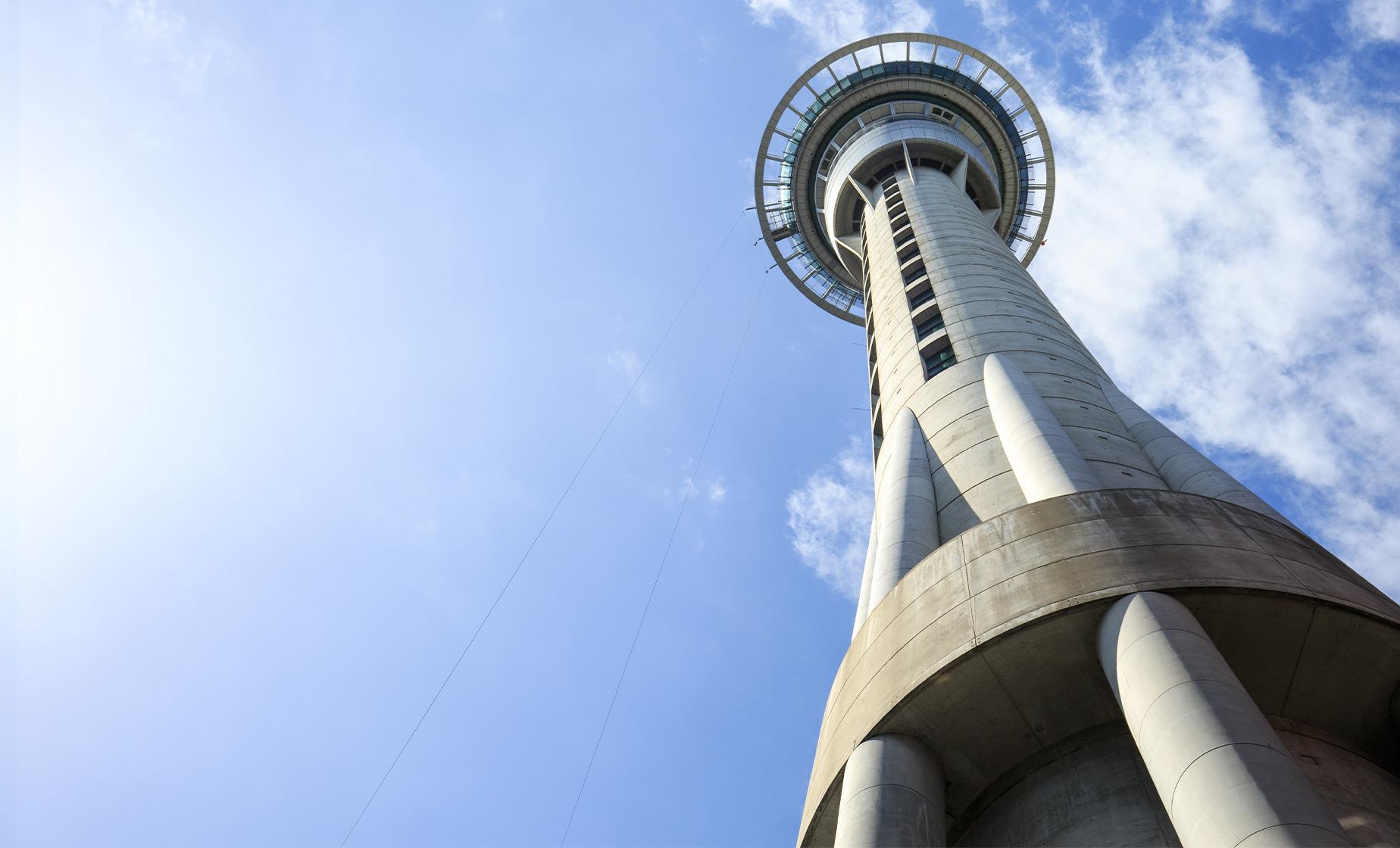 New Zealand Highlights, Harbor, and Sky Tower Tour