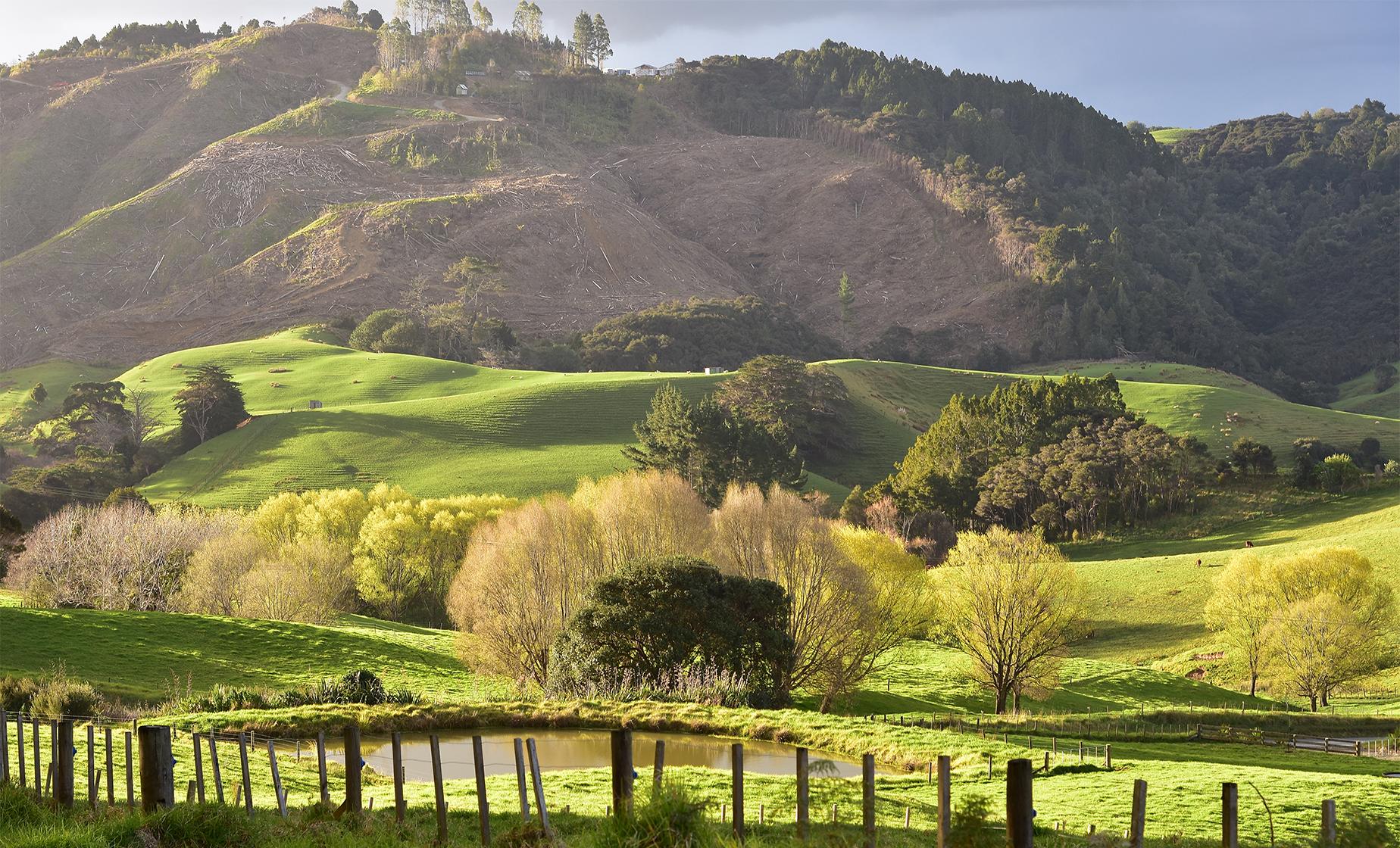 West Auckland Countryside