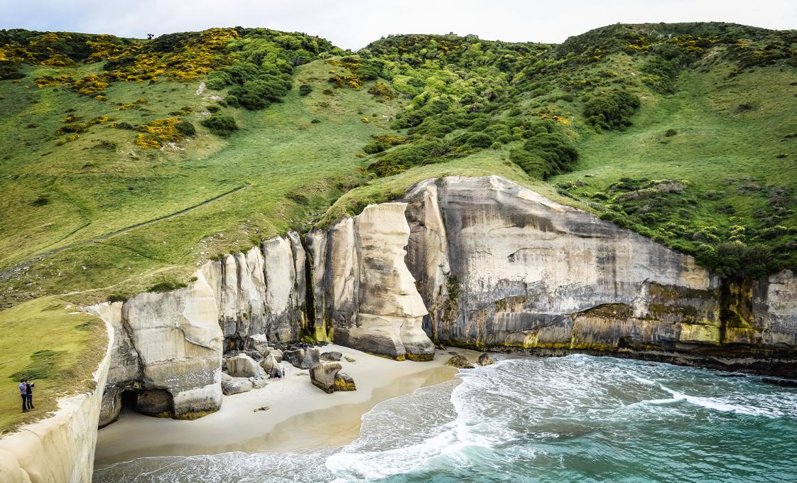 Bays, Beaches And Views Of Dunedin