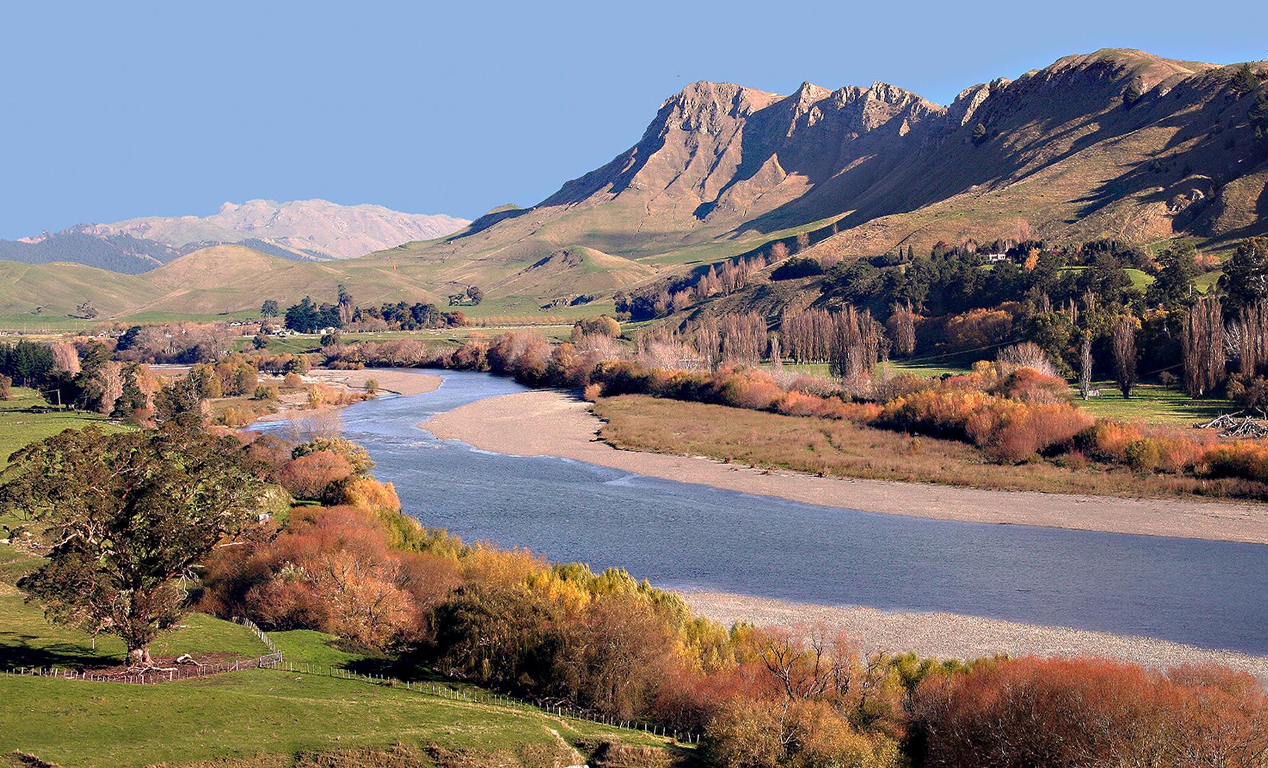 Hawkes Bay Scenic Tour in Napier (Oak Avenue, National Tobacco Building)