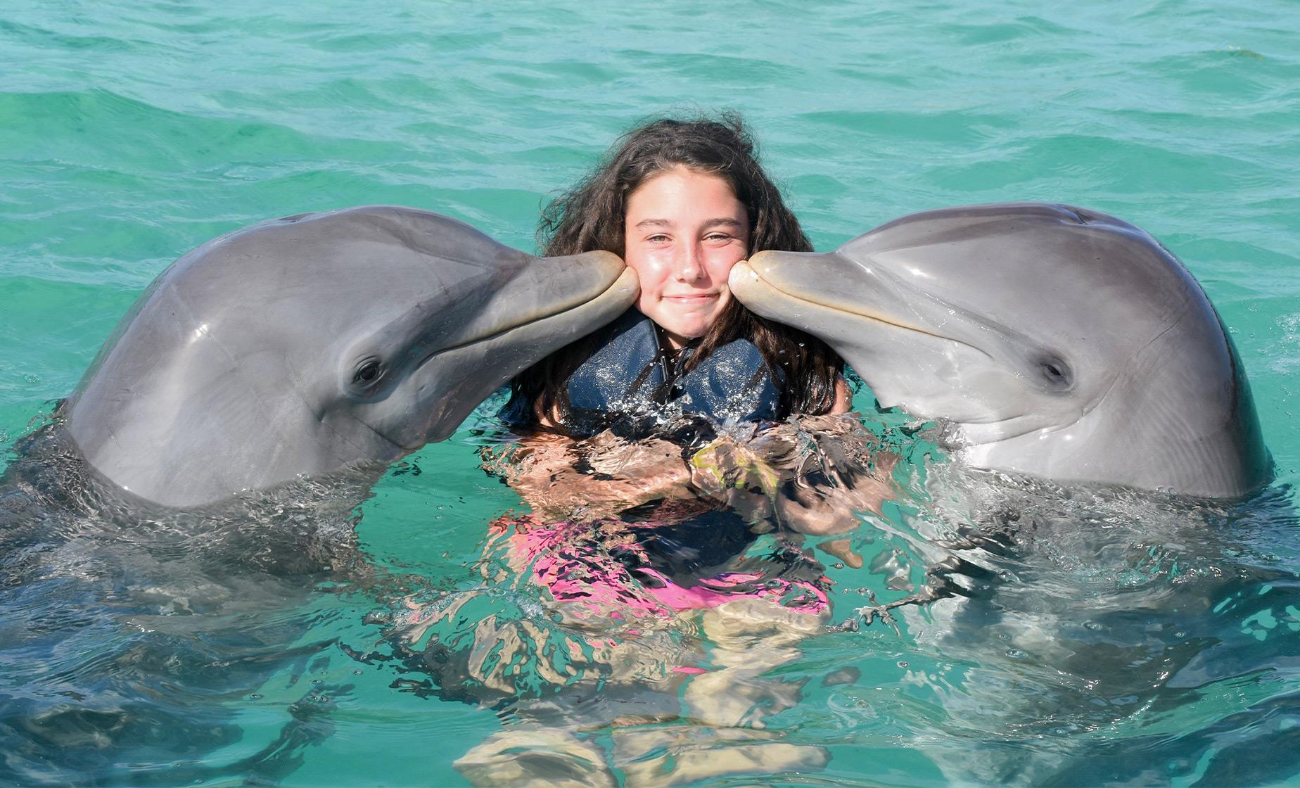 Bermuda Cruise Excursions | Dolphin Adventure