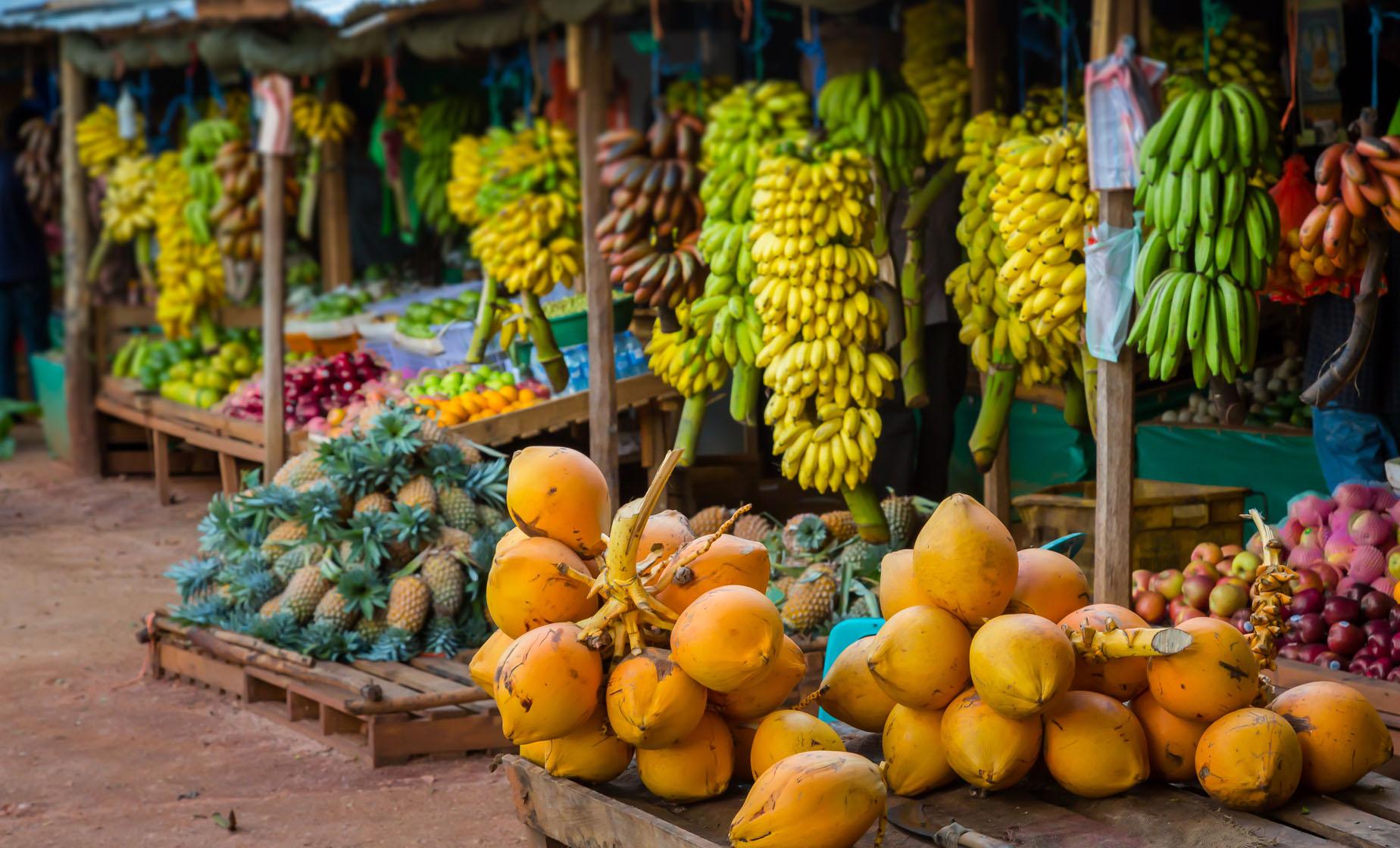 A Taste of the Dominican Republic