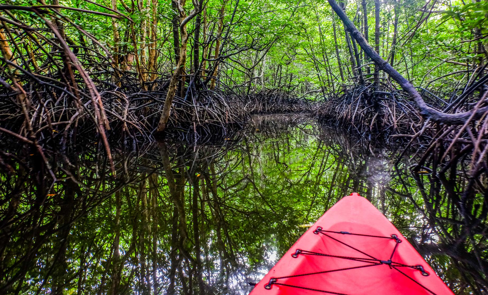 Clear Bottom Kayak