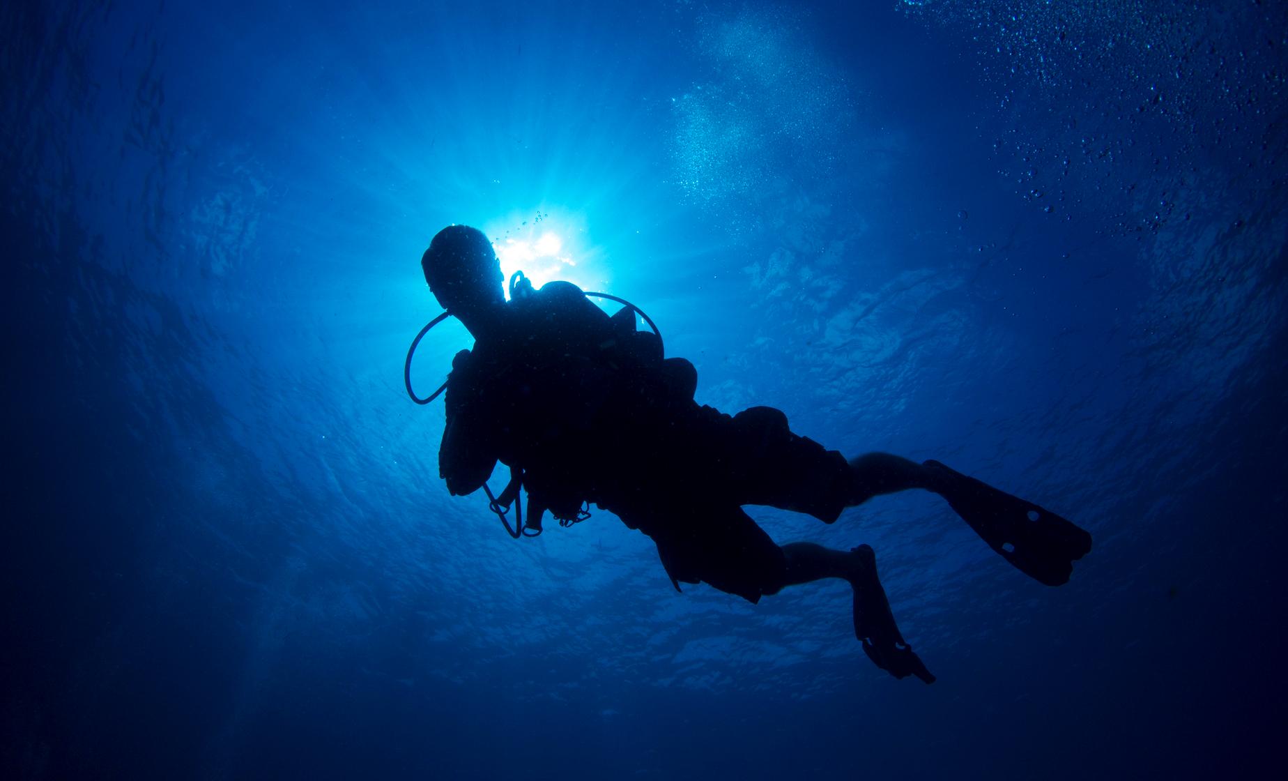 Two Tank Scuba Dive in Barbados Carlisle Bay Marine Park Shipwrecks Reef Fish Turtles