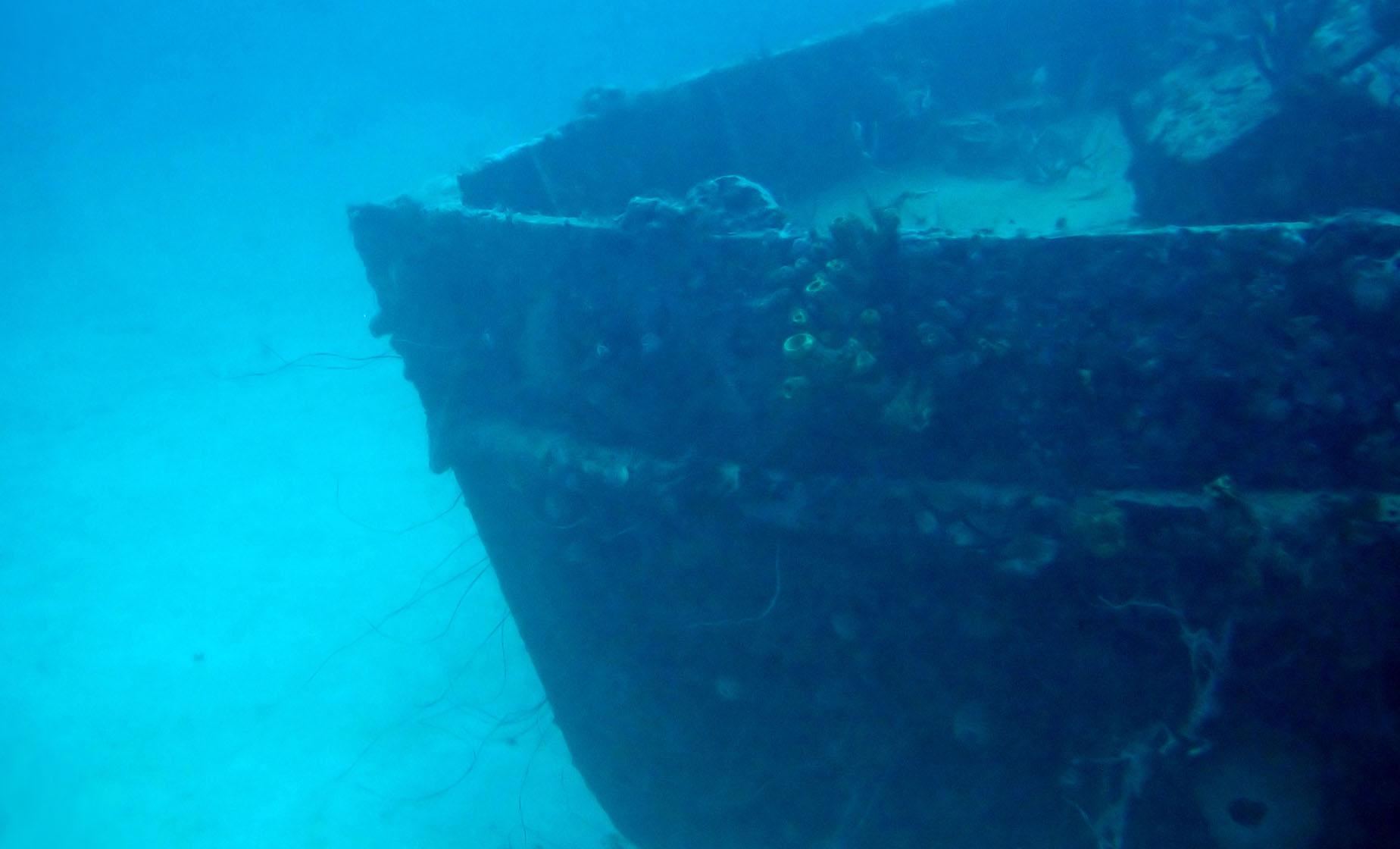 Small Group Shipwreck Snorkel in Barbados Buffet Lunch Carlisle Bay Marine Park