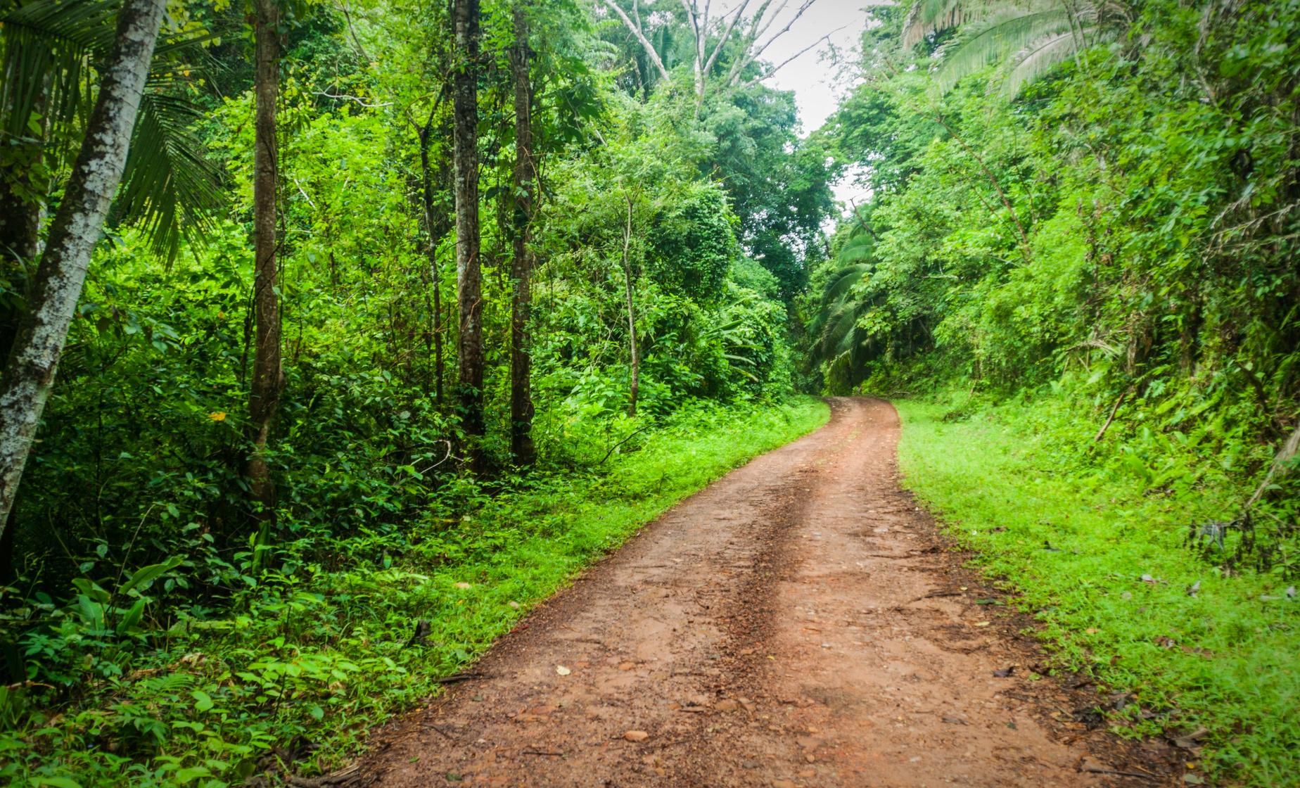 Belize Jungle Jeep, Rum Factory and Museum Tour