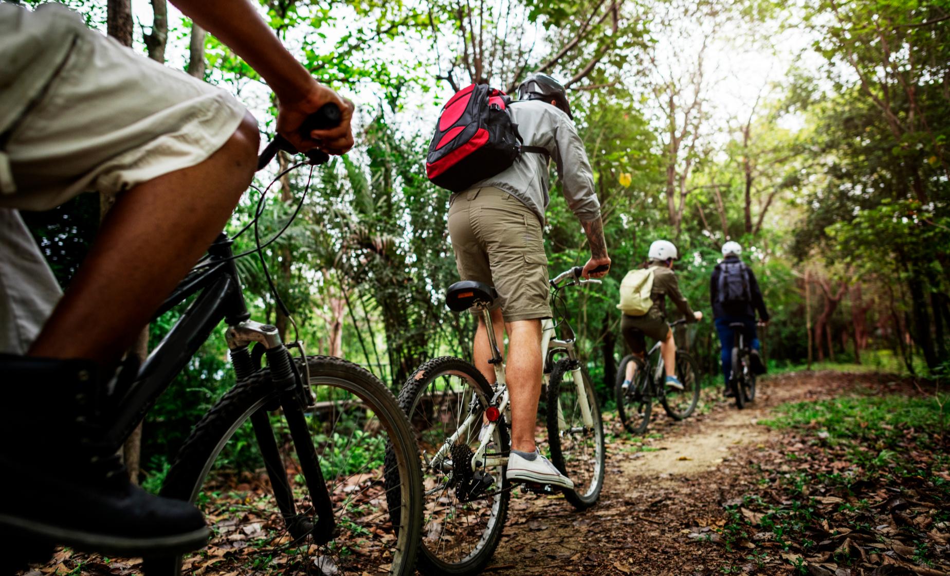 Jungle Bike Trek Adventure
