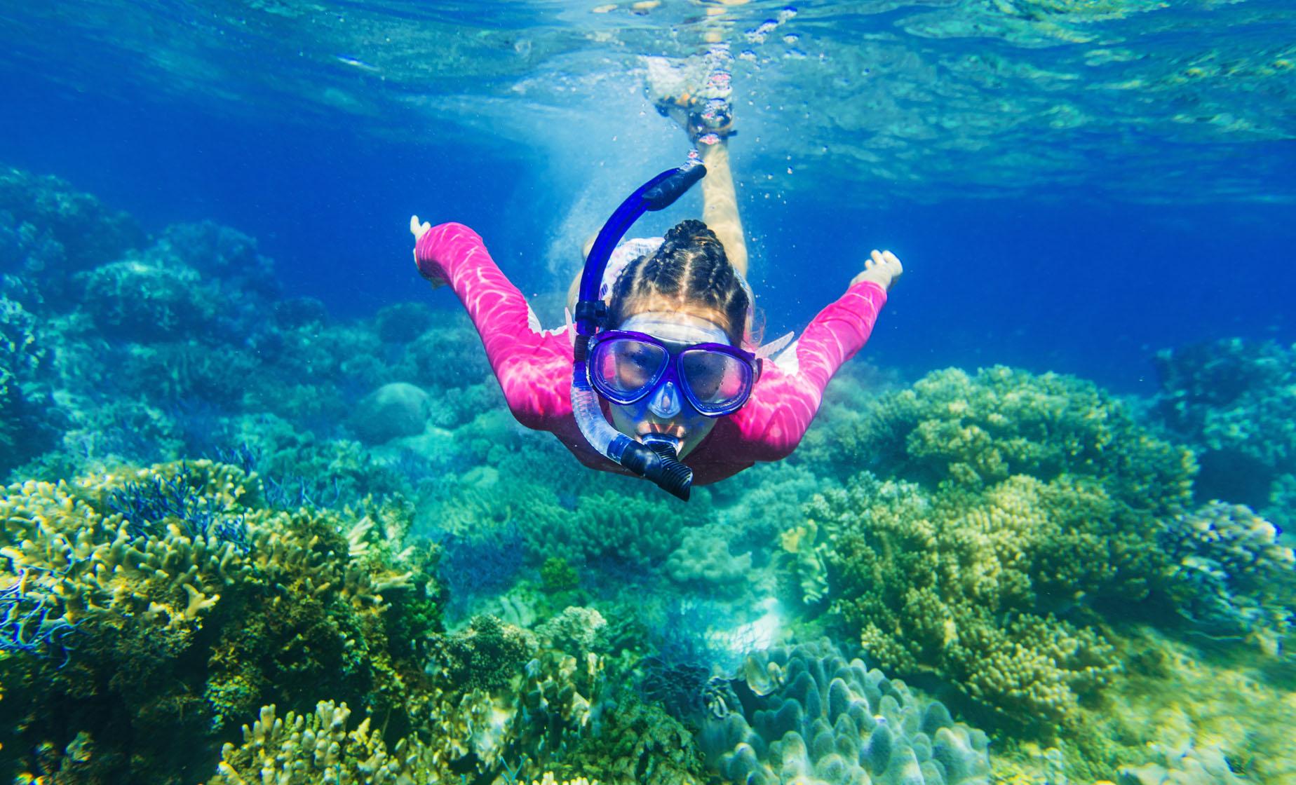 Snorkel and Boat Tour