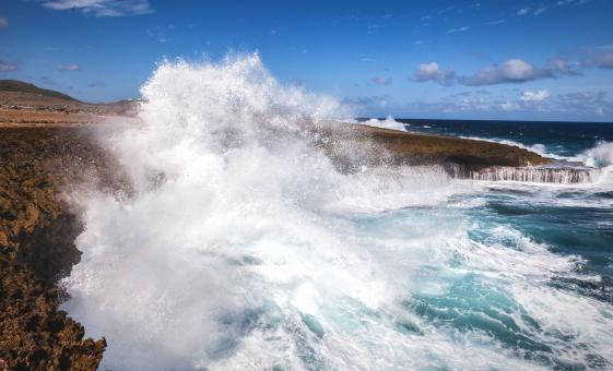 Half Day Eco Jeep Tour
