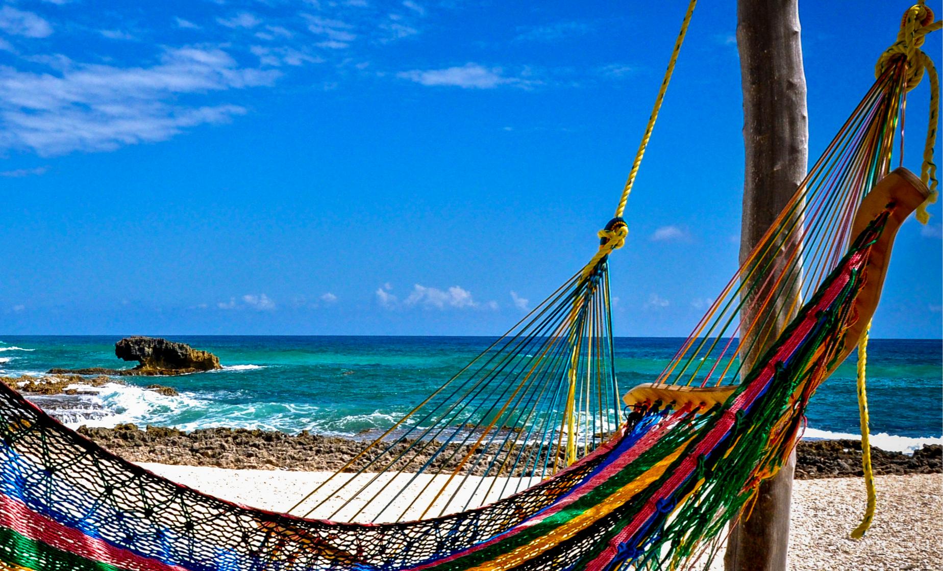 Cozumel Beach, Culture, Food and Wild Side