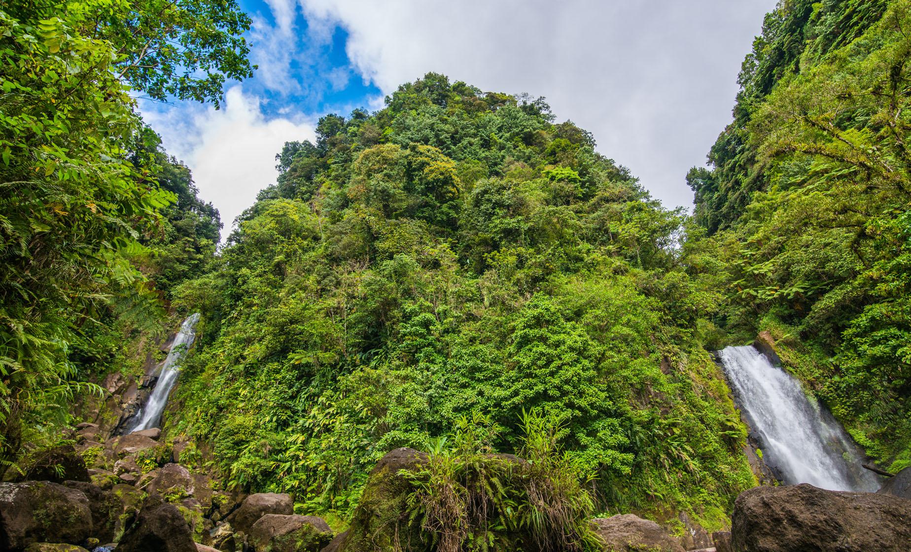 Roseau Valley Treasures in Dominica (Champagne Reef, Trafalgar Falls)