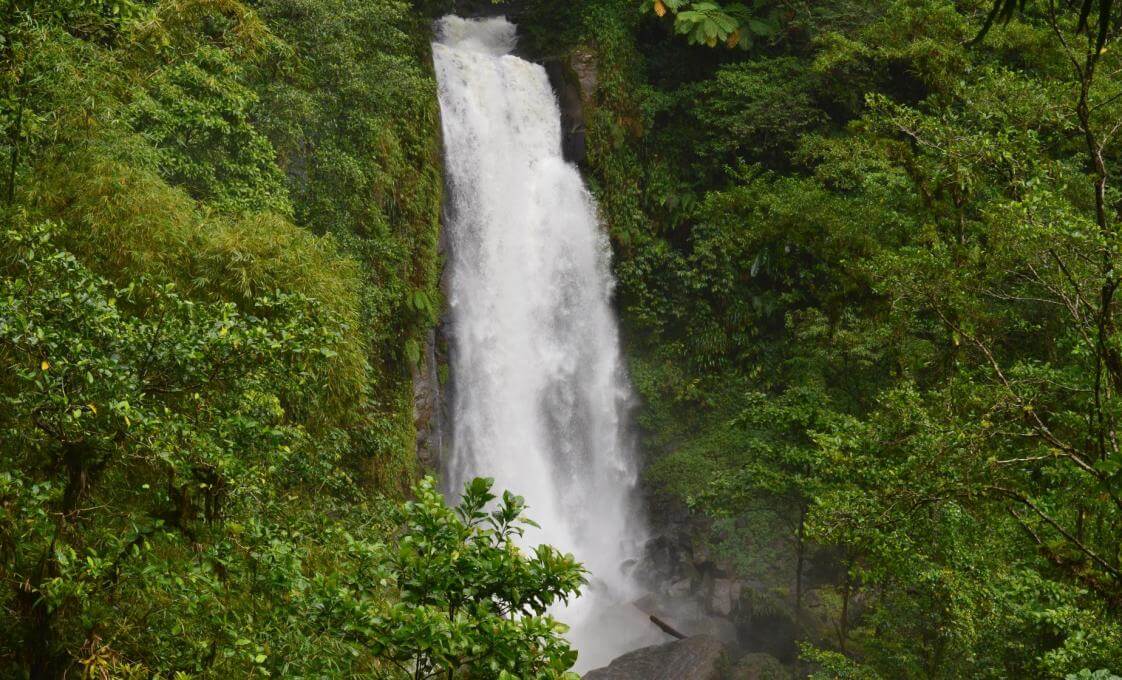 Jewels Of Dominica