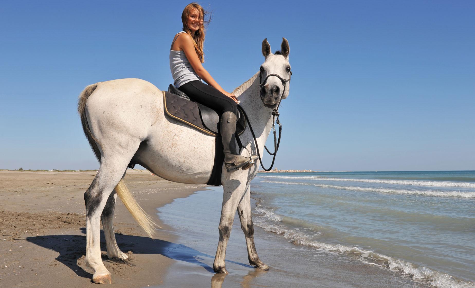 Taino Indians History & Beach Horseback Ride Tour in Falmouth