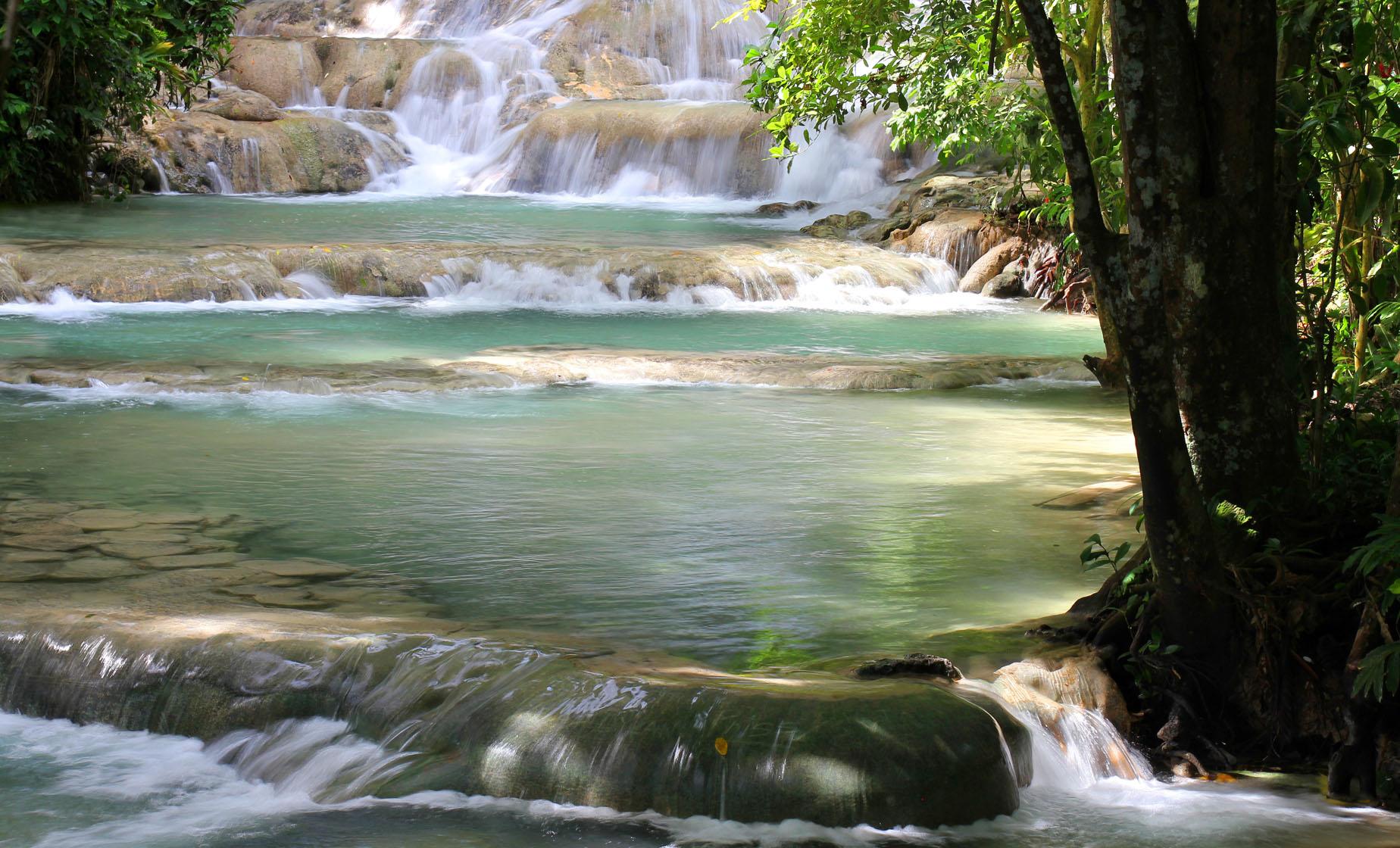 Caribbean Sea Horseback Riding & Dunn's River Falls Excursion