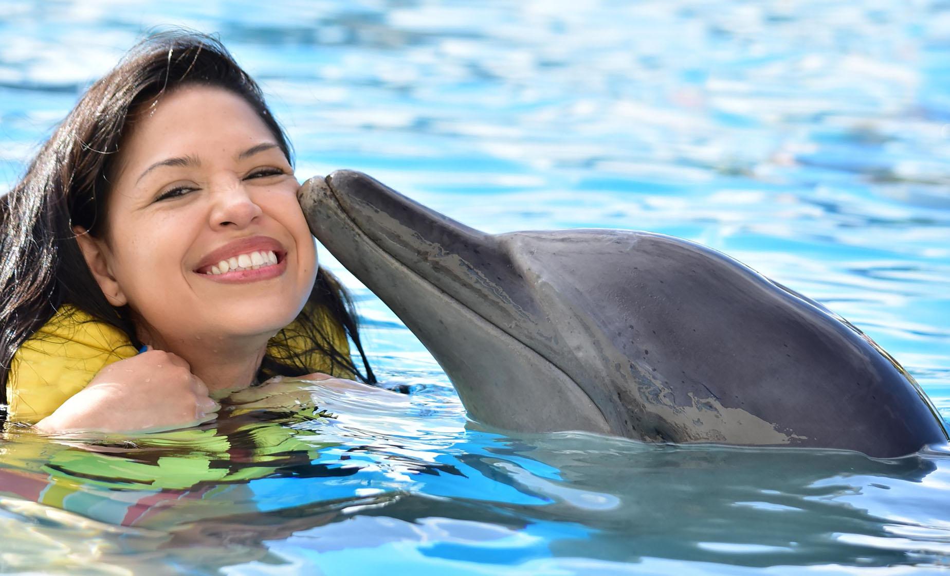 dolphin excursion grand cayman