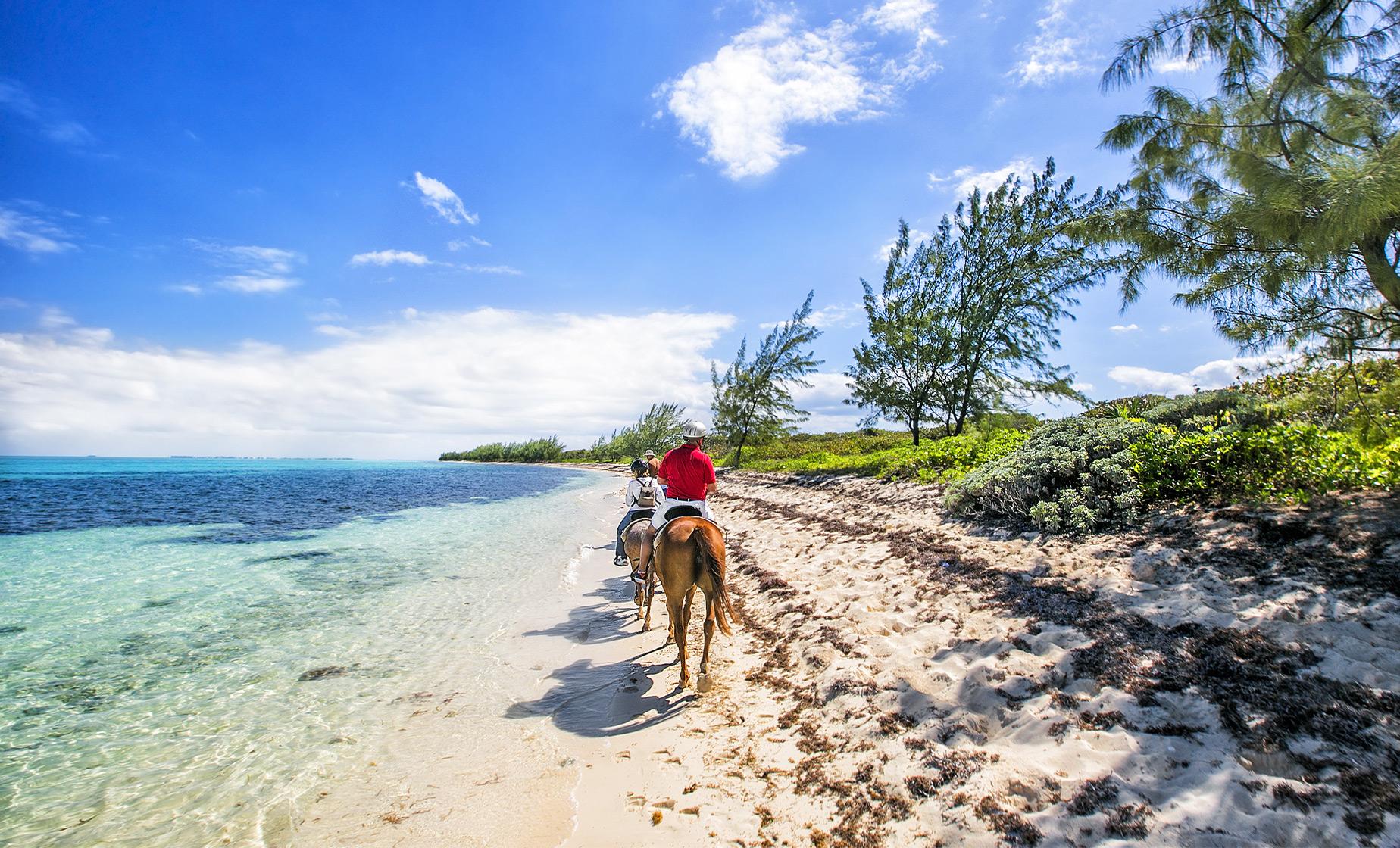 Horseback Swimming & West Bay Ride in Grand Cayman