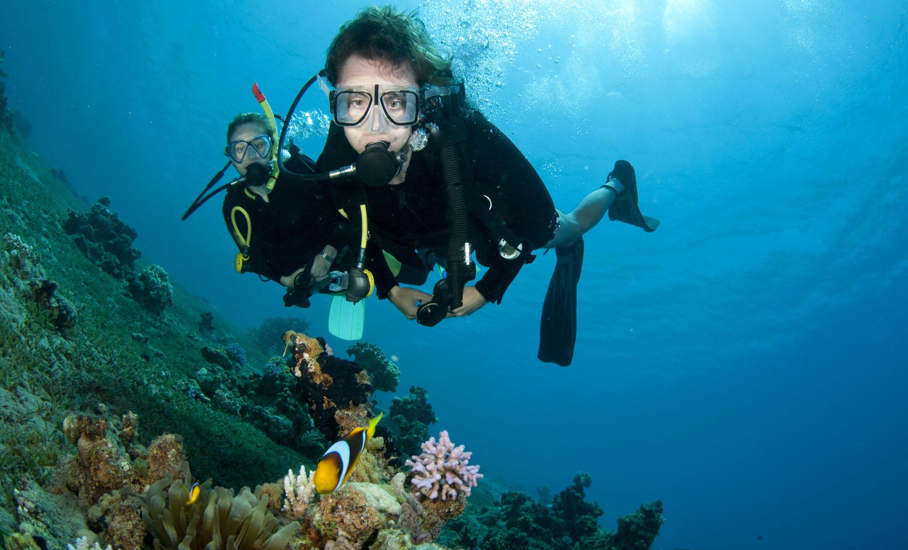 Grenada PADI Discover Scuba Diving Tour (Grand Anse Beach)