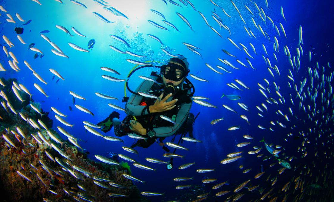 Certified Grenada One Tank Dive