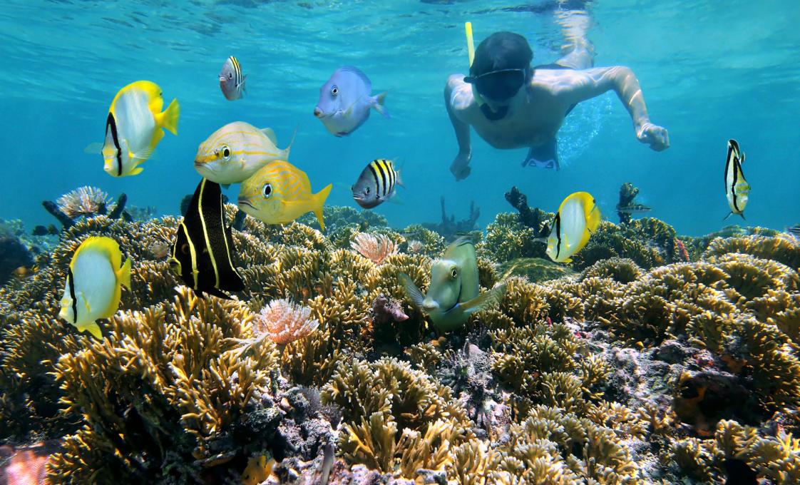 Private Gibbs Cay And Snorkel Charter