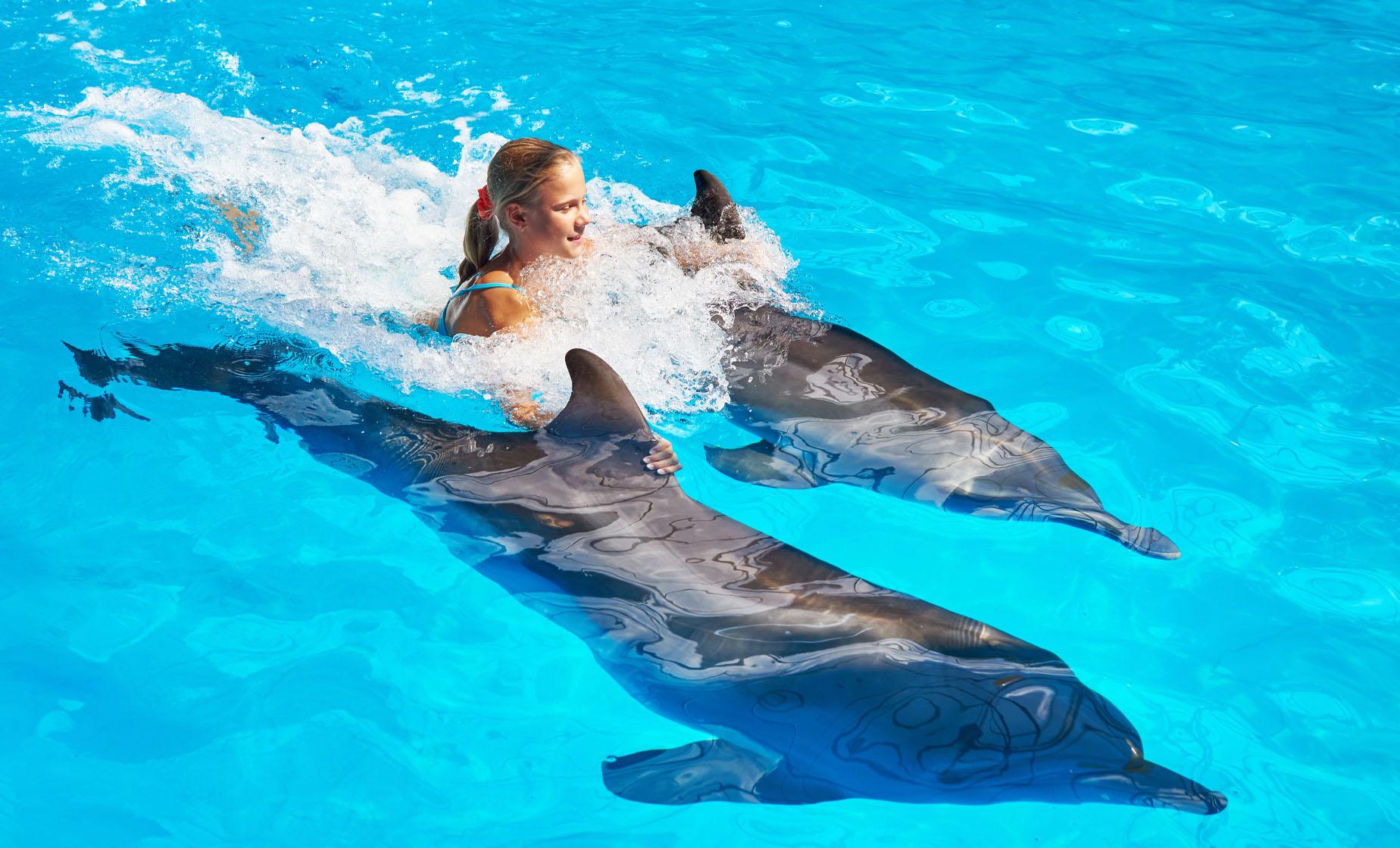 dolphin excursions bahamas