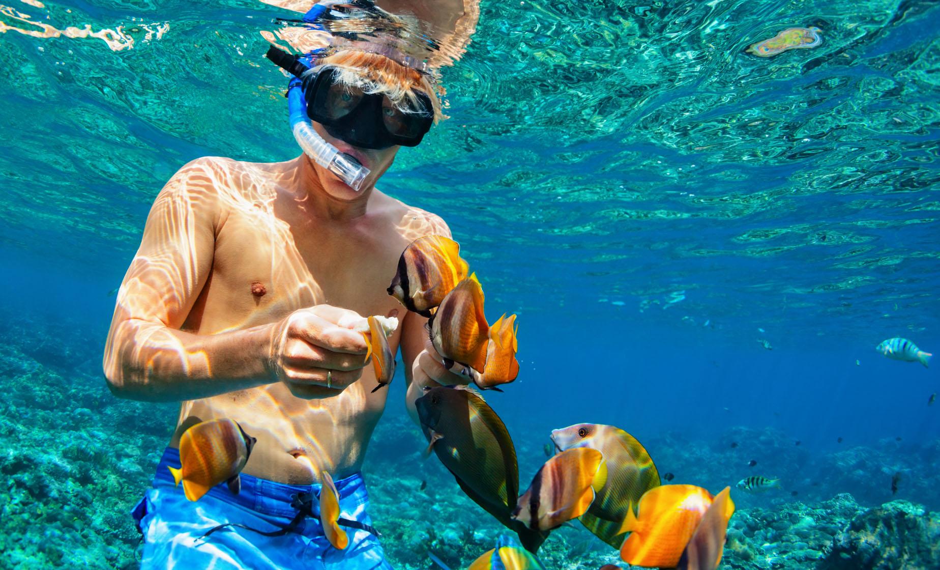 catamaran sail and reef snorkeling nassau