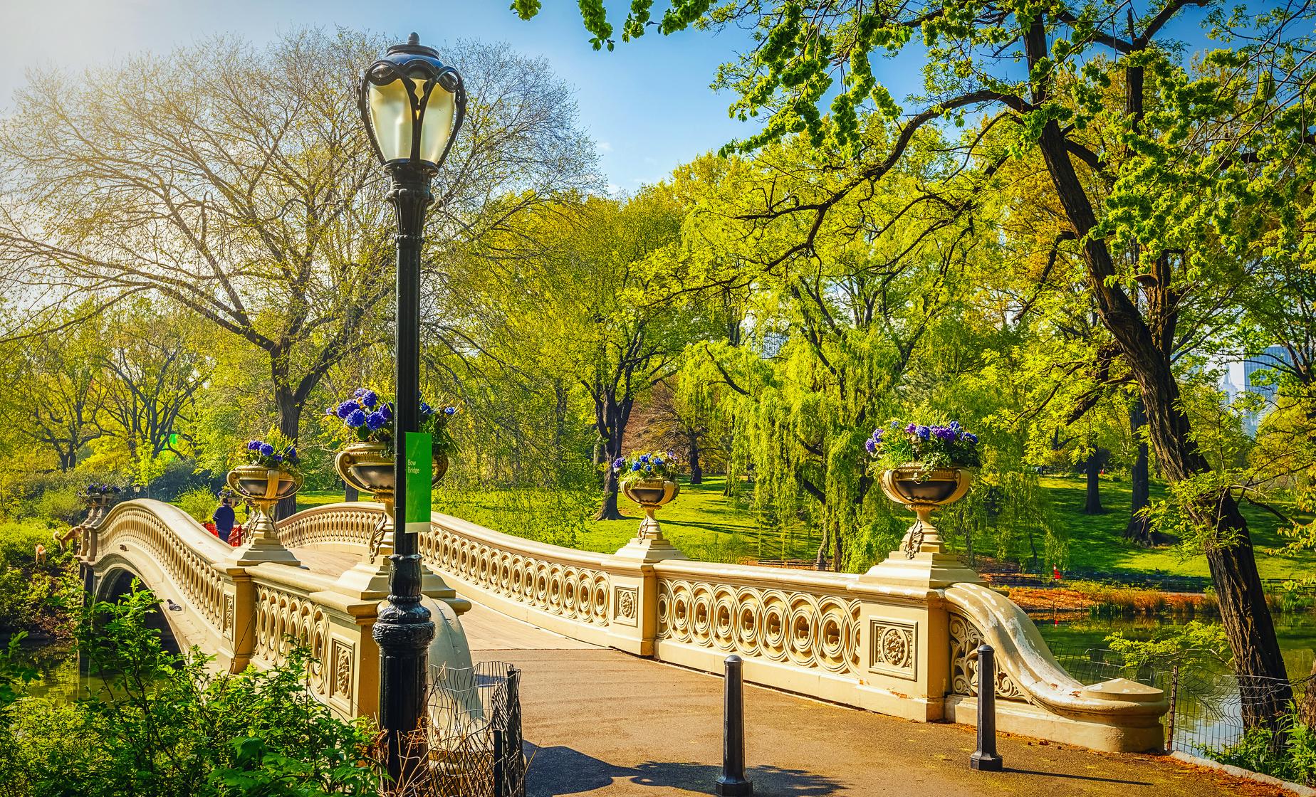 Bethesda Terrace in Films