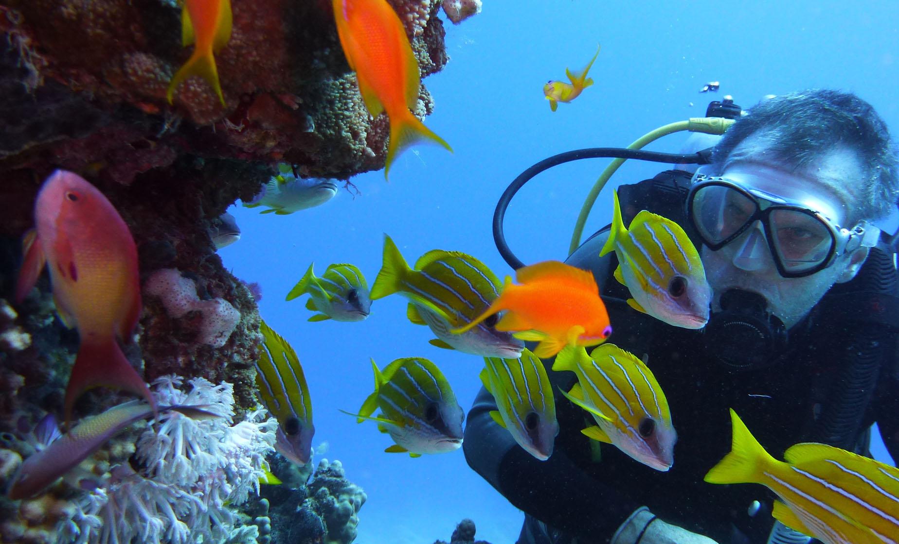 Meso-American Barrier Reef Two Tank Scuba Dive Excursion in Roatan