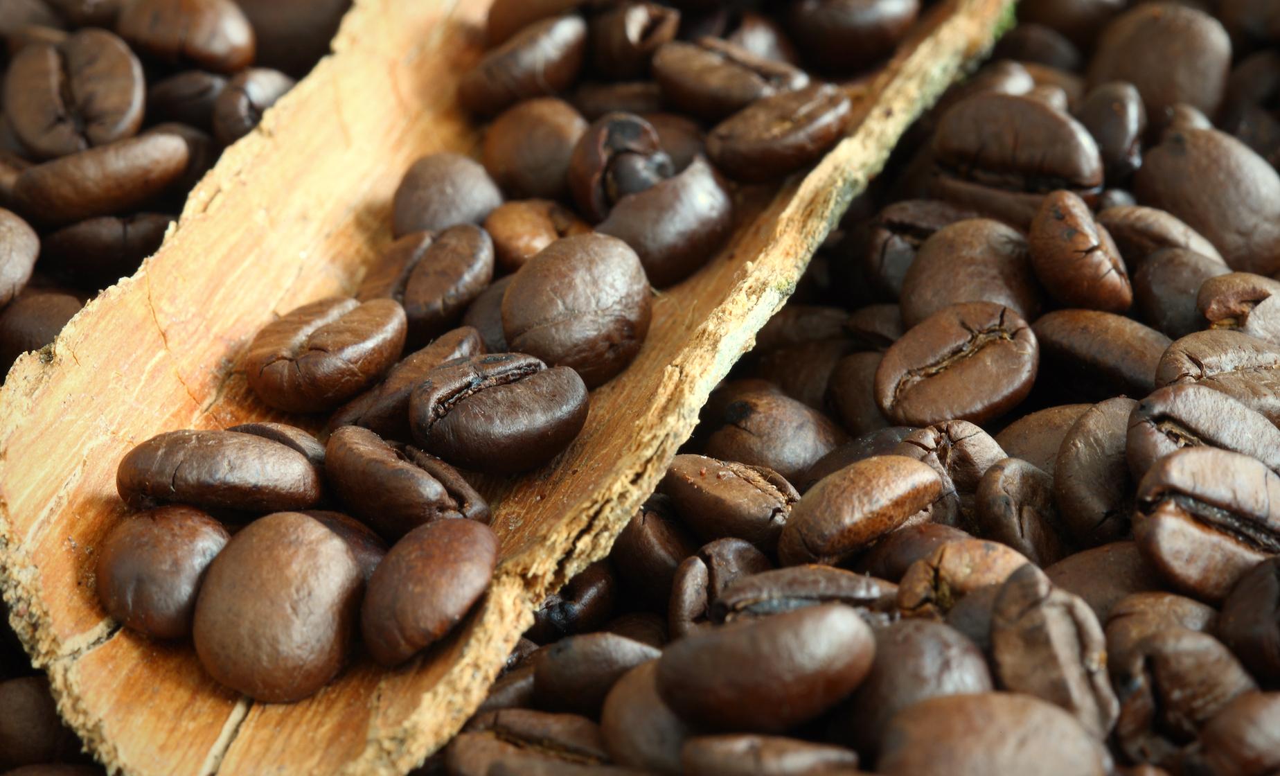 Immersive Coffee Farm Visit and Waterfall Experience