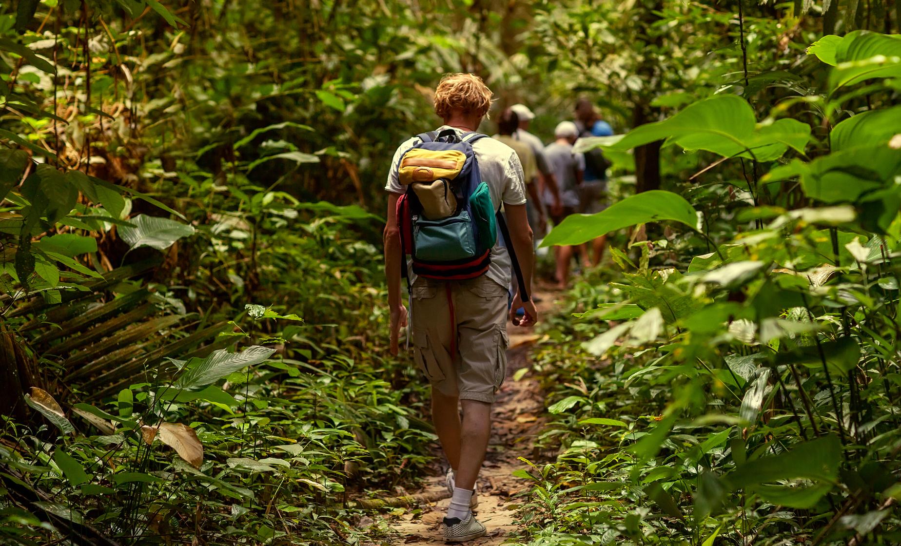 Hiking In The Tropical Rainforest Betaivc