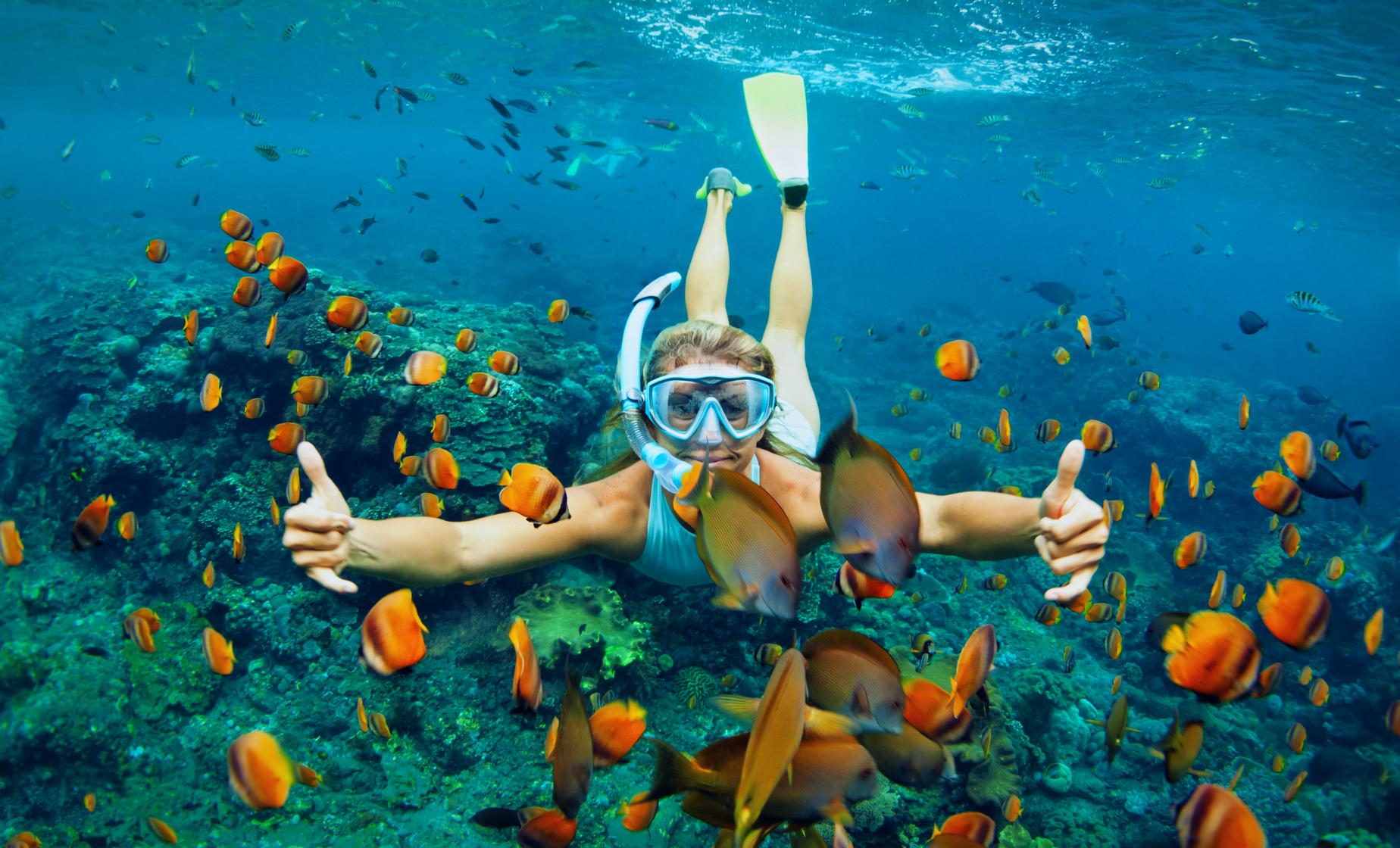 St Maarten Snorkeling Tour at Pinel Island & Oyster Pond