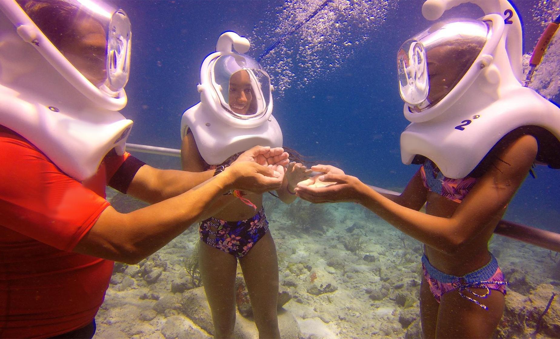 SeaTrek and Coral World in St. Thomas in the Morning (Undersea Observatory)