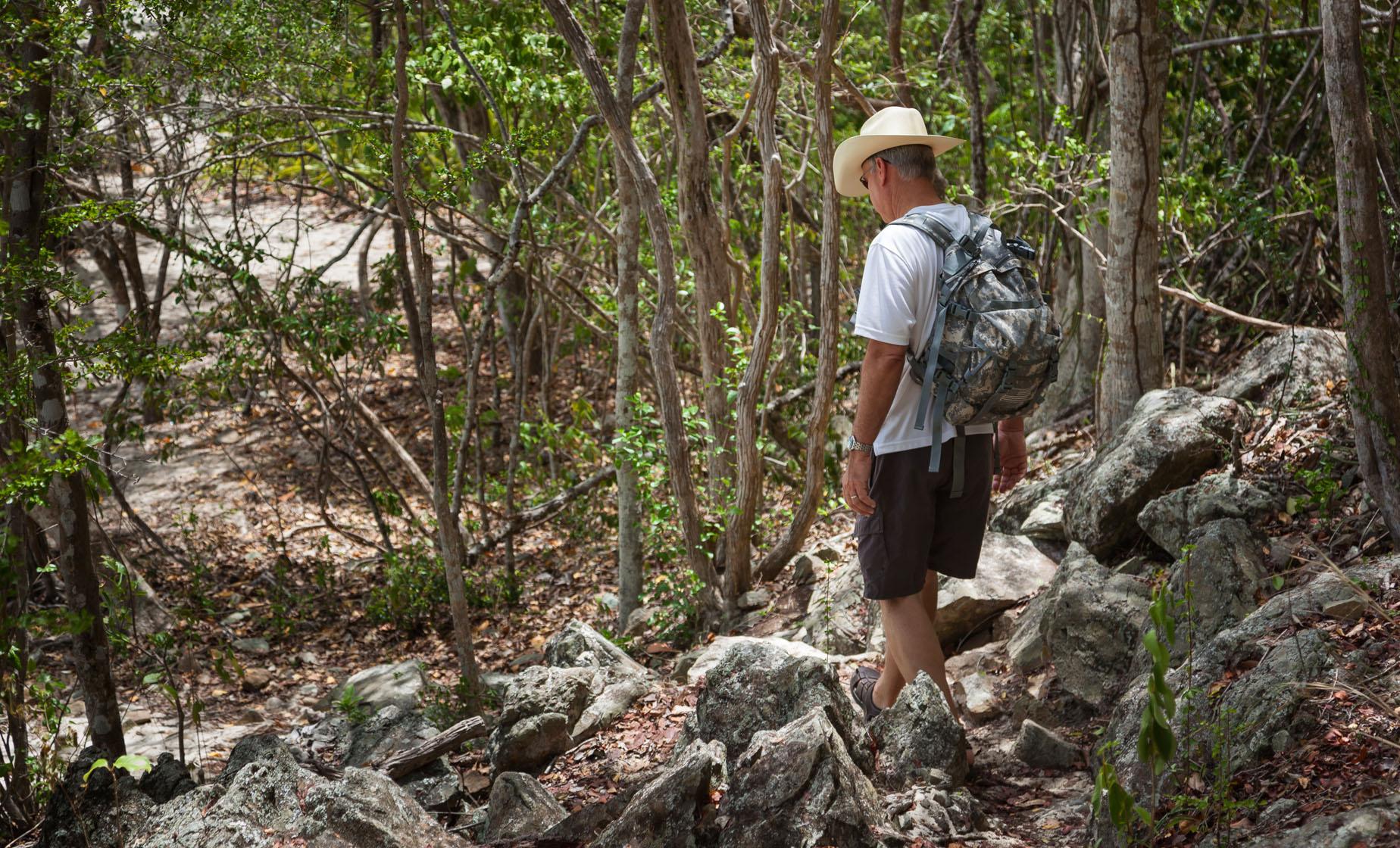 St. John Eco-Hike and Snorkel